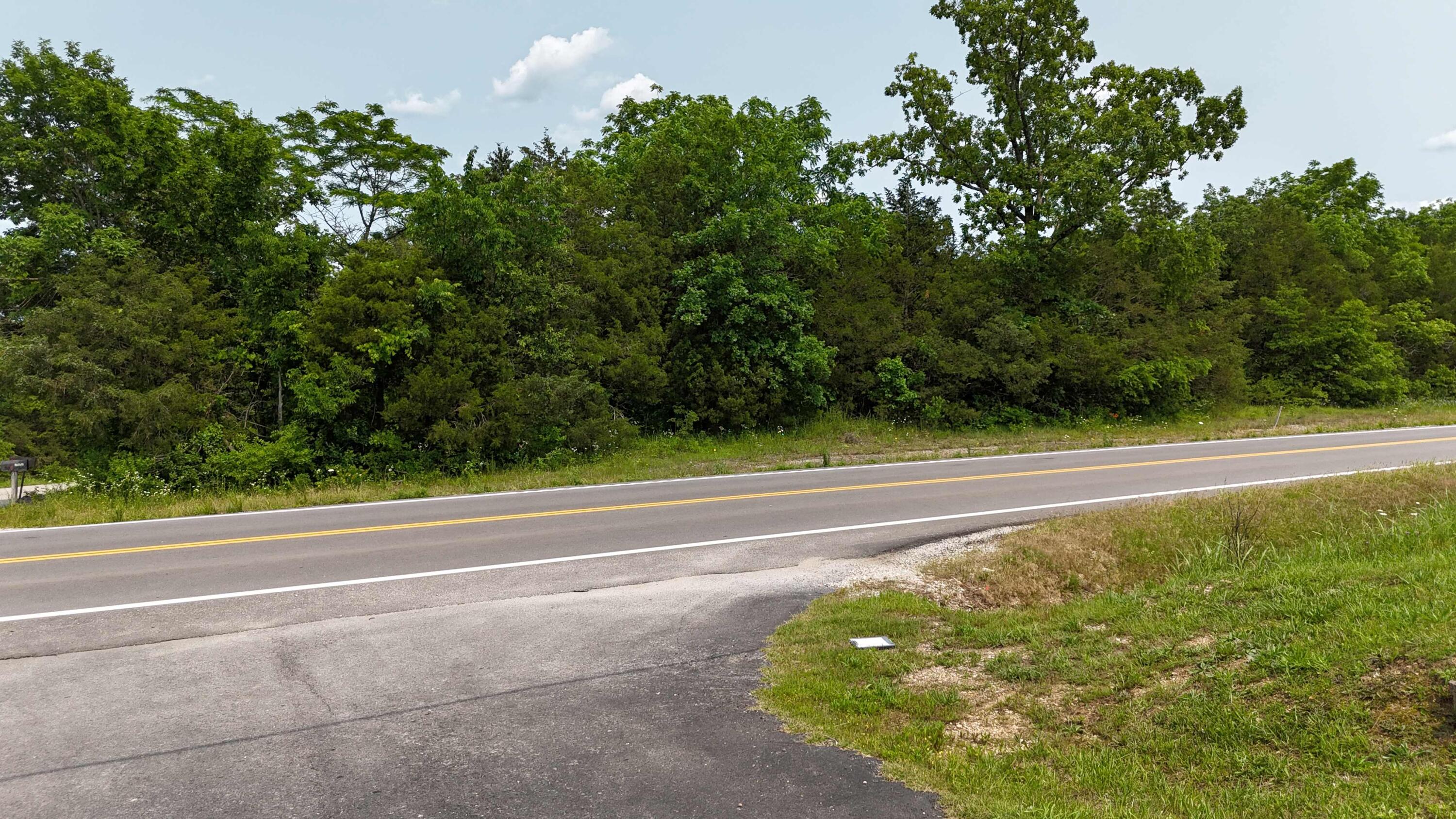Photo 6 - Land for sale – 000  State Hwy 86   Eagle Rock, MO