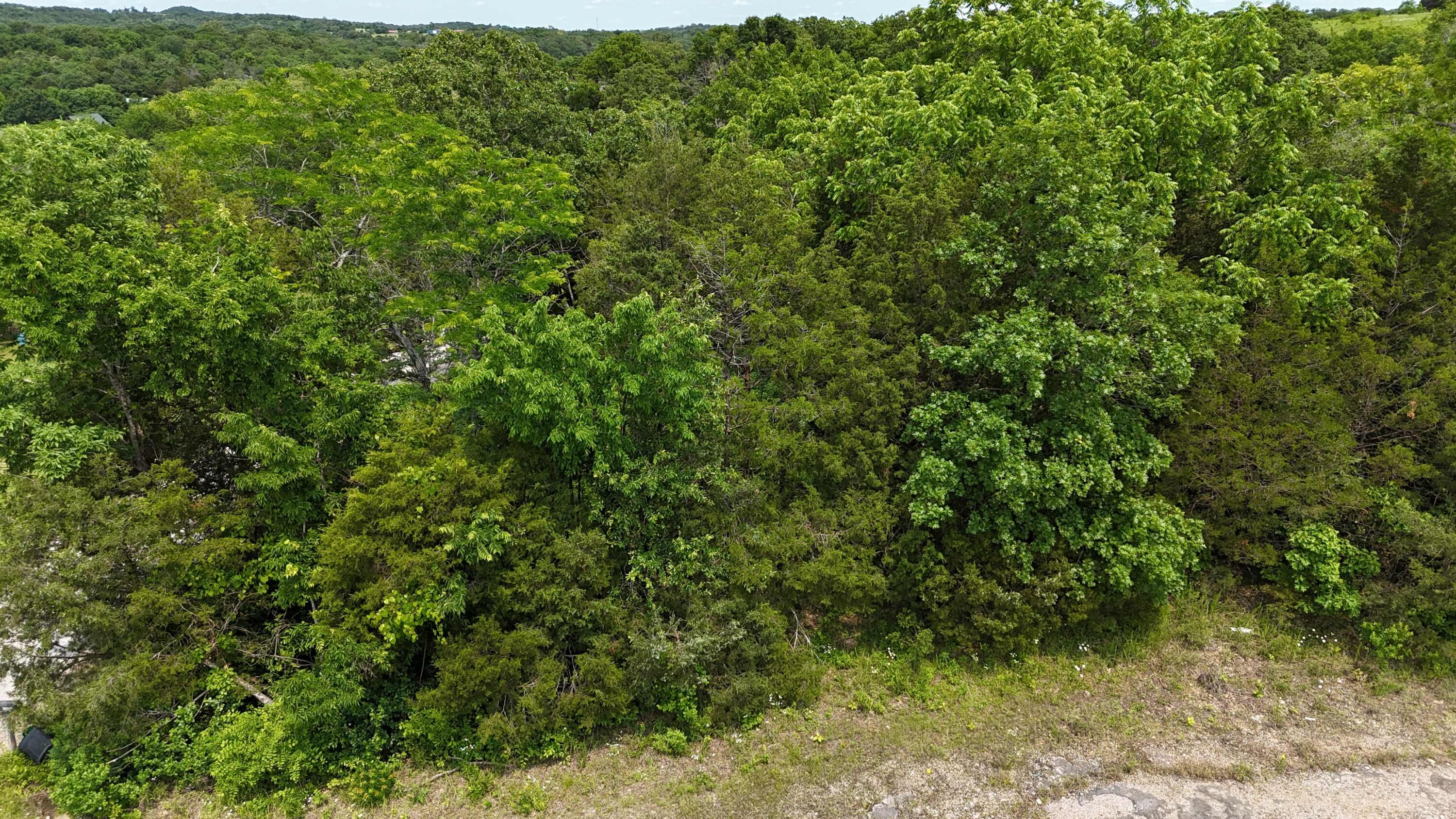Photo 8 - Land for sale – 000  State Hwy 86   Eagle Rock, MO