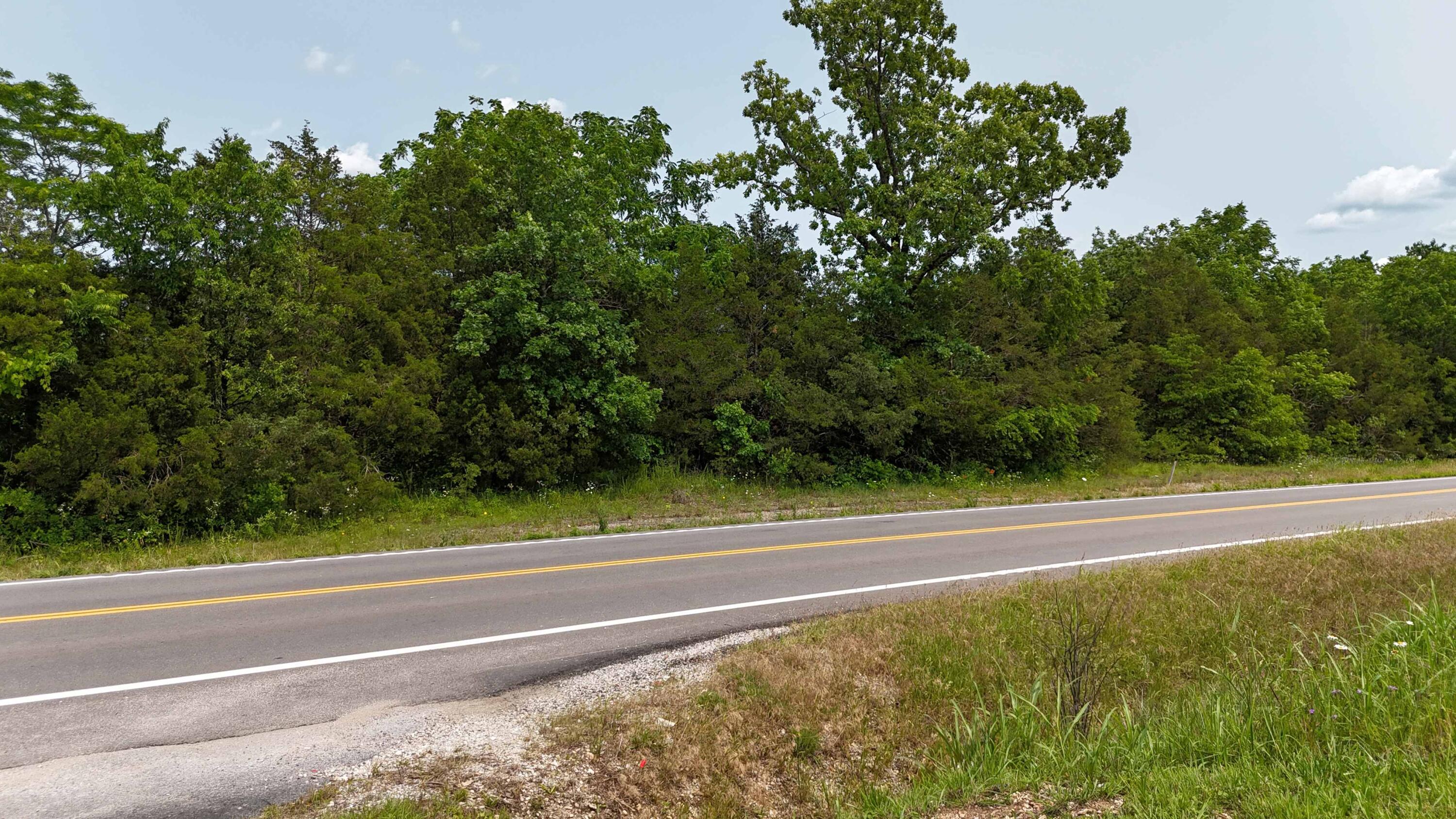 Photo 7 - Land for sale – 000  State Hwy 86   Eagle Rock, MO