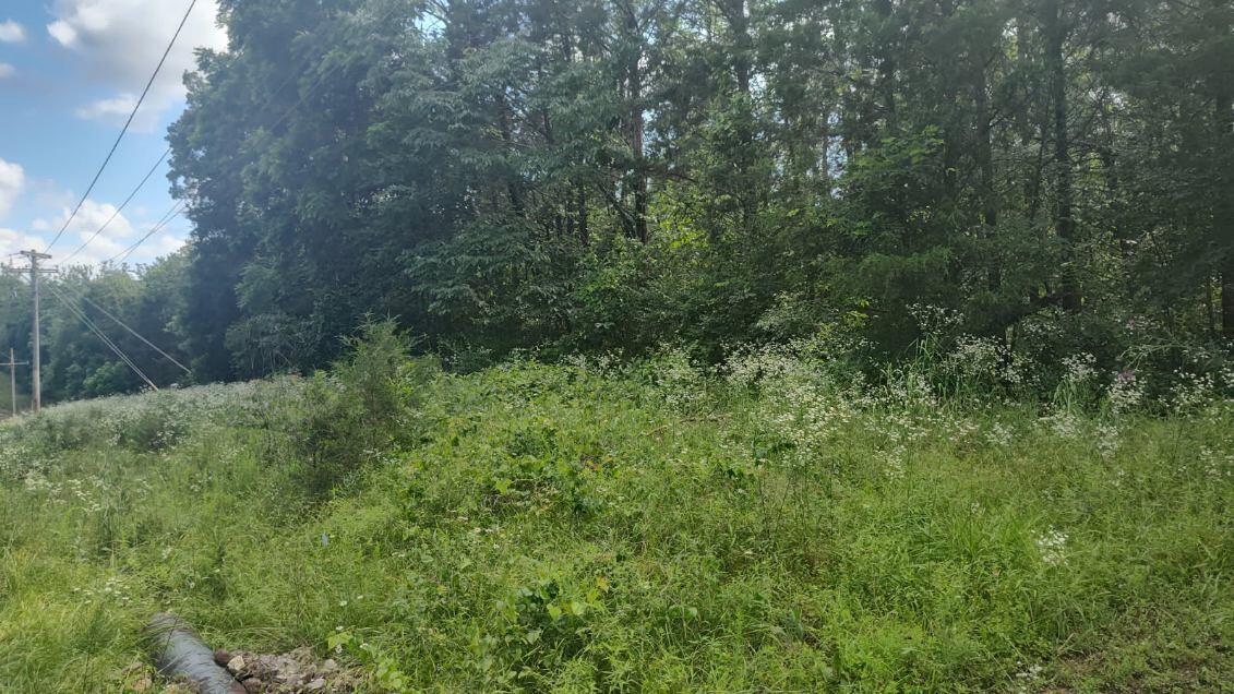 Land for sale – Lot142 143  Farm Road 1255   Shell Knob, MO
