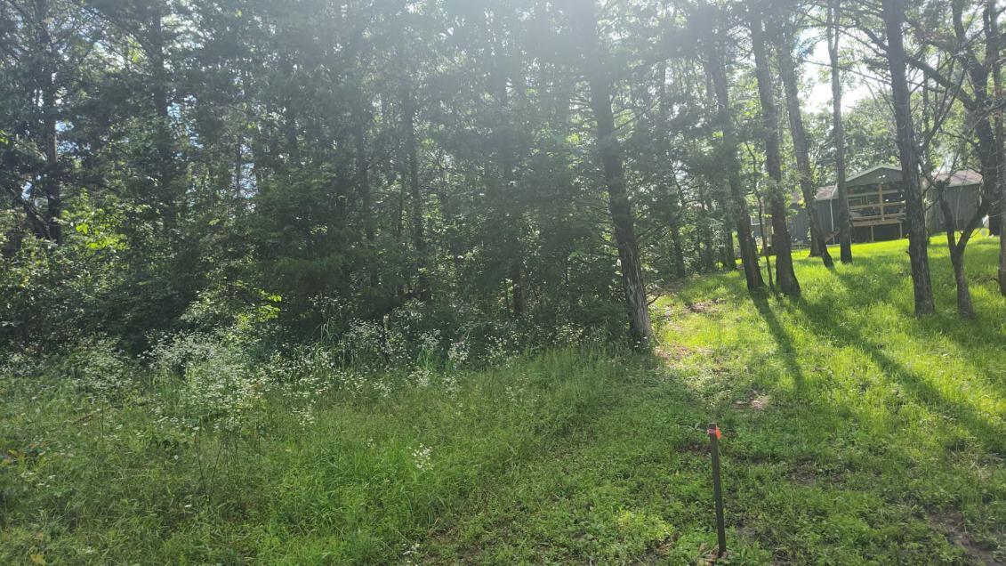 Photo 6 - Land for sale – Lot142 143  Farm Road 1255   Shell Knob, MO