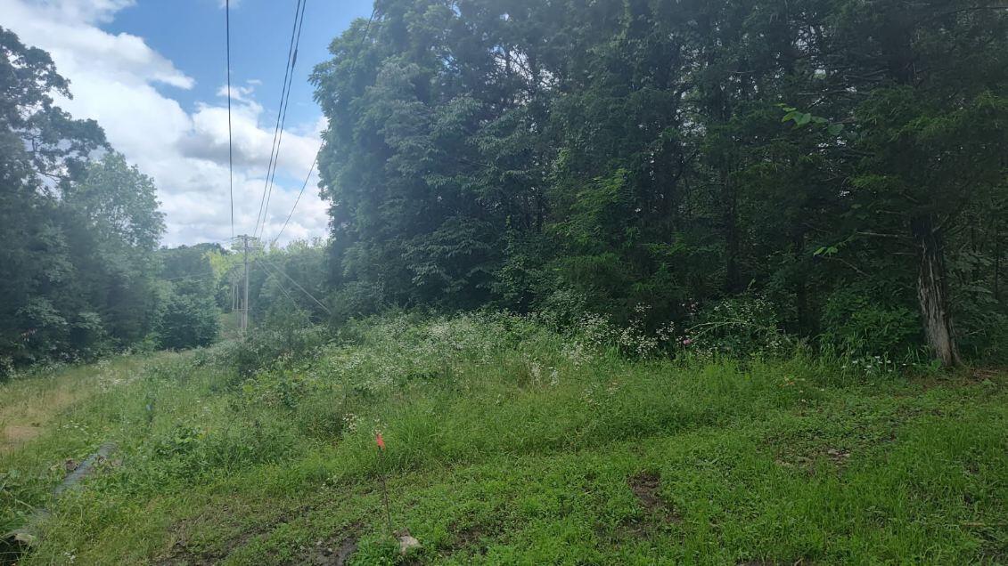 Photo 4 - Land for sale – Lot142 143  Farm Road 1255   Shell Knob, MO