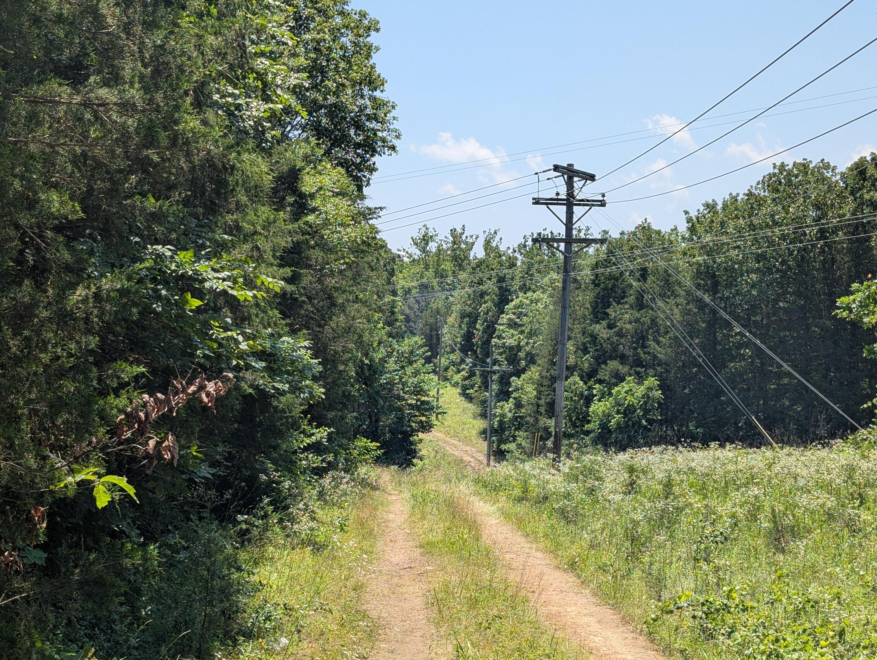 Photo 9 - Land for sale – 6 Lots  Farm Road 1255   Shell Knob, MO