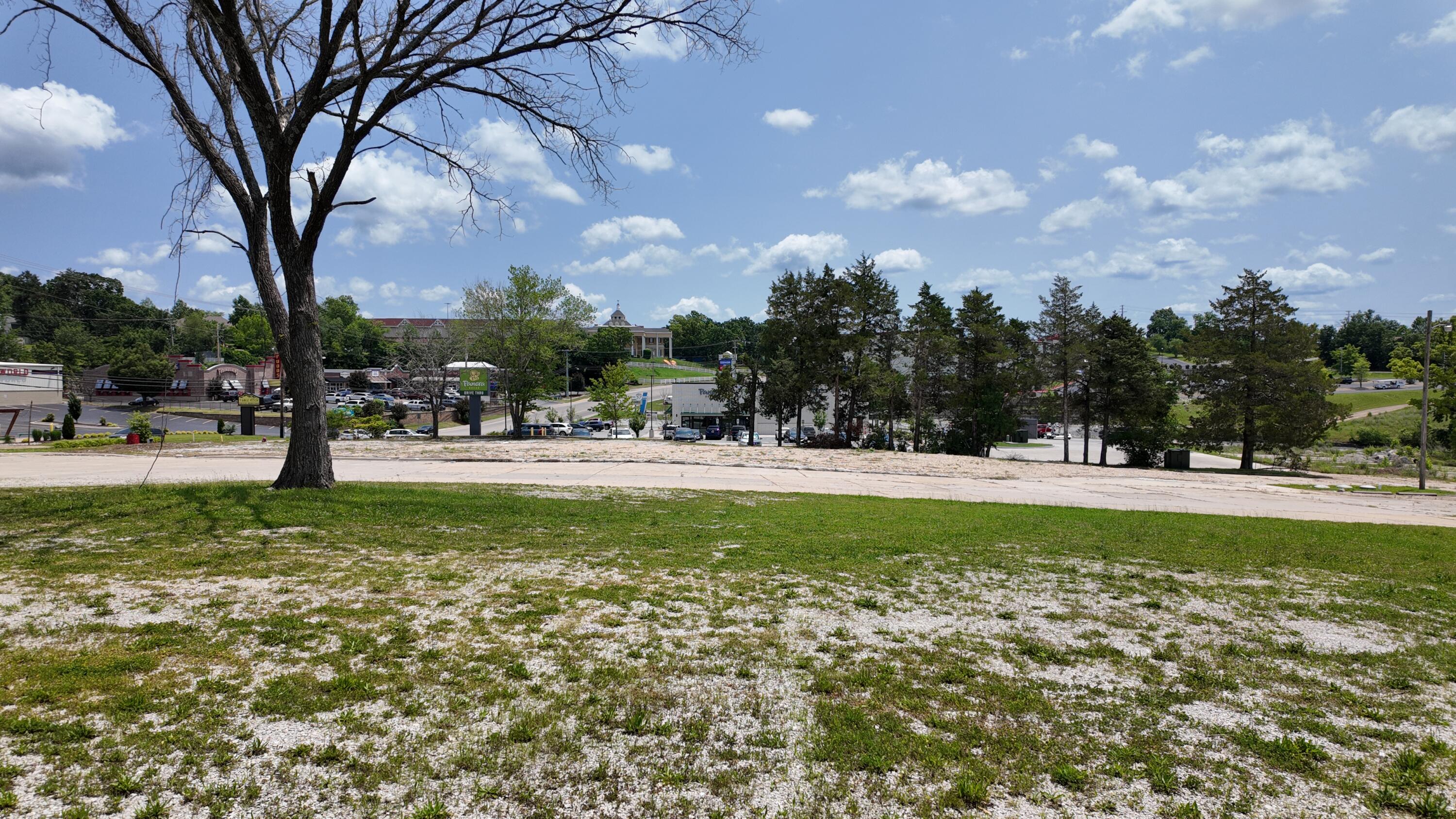 Photo 4 - Land for sale – 1810  State Hwy. 76   Branson, MO