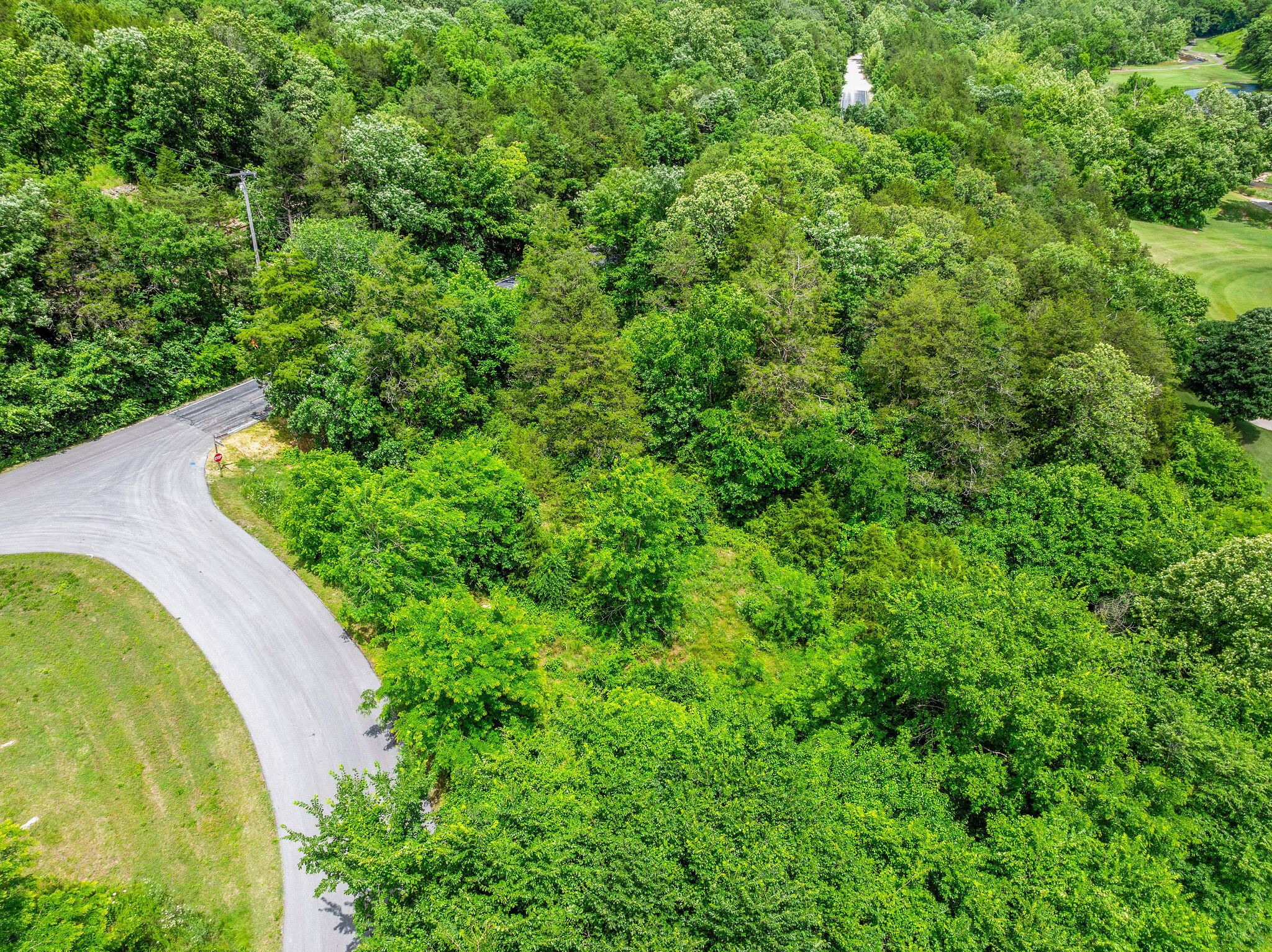 Photo 14 - Land for sale – 000  Lot 8 Forest Lake 2nd Add   Branson West, MO