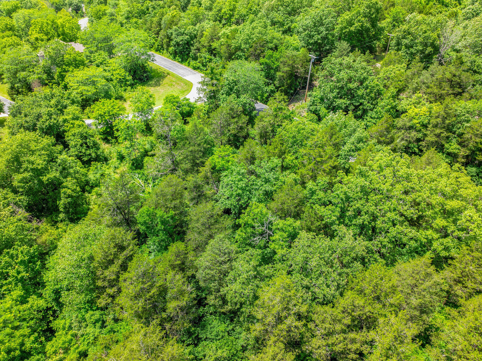 Photo 12 - Land for sale – 000  Lot 8 Forest Lake 2nd Add   Branson West, MO