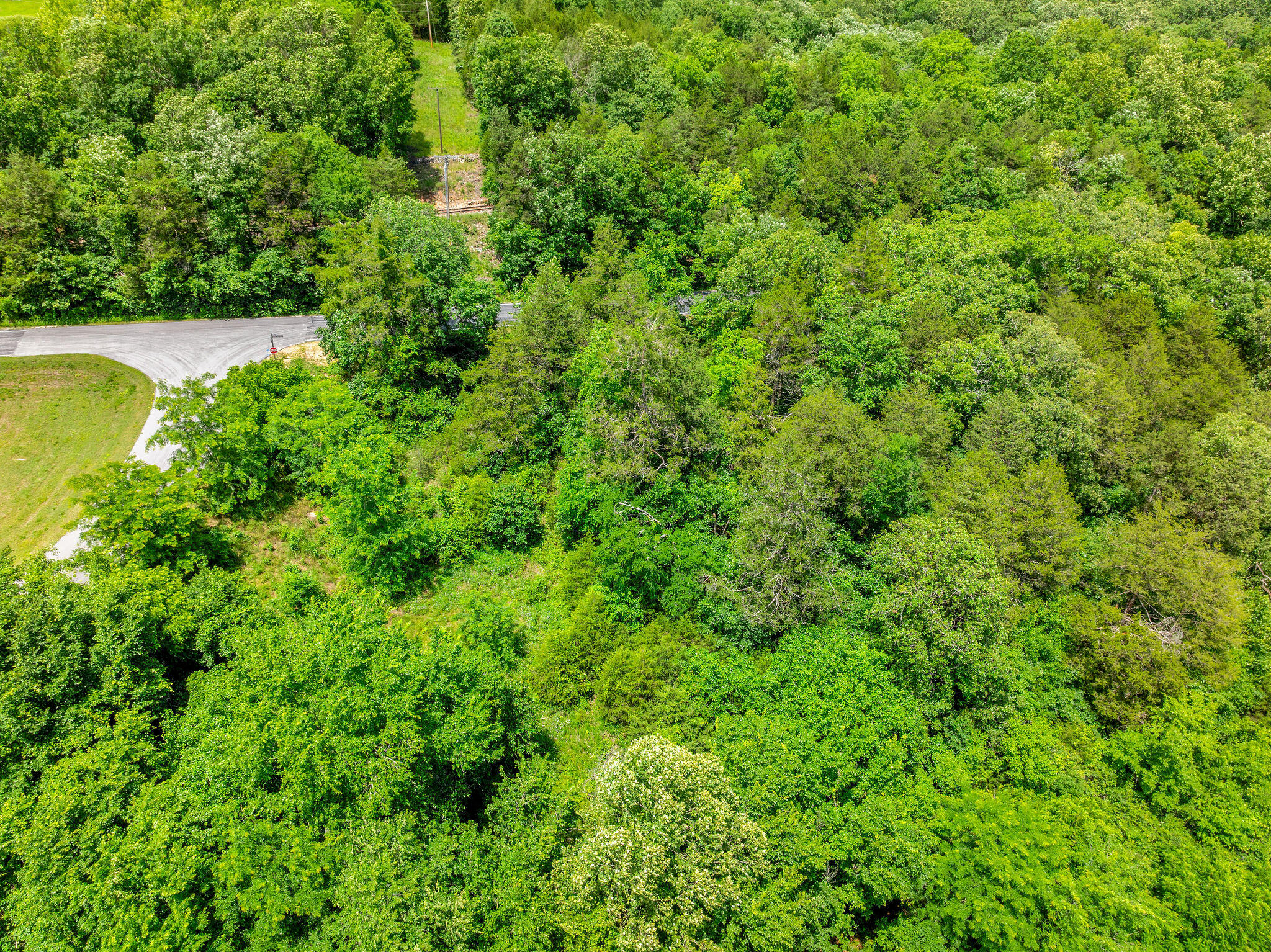 Photo 13 - Land for sale – 000  Lot 8 Forest Lake 2nd Add   Branson West, MO