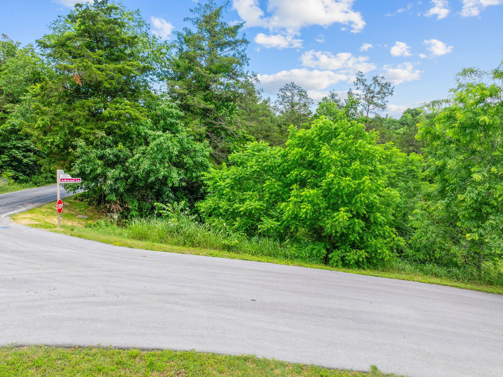 Photo 18 - Land for sale – 000  Lot 8 Forest Lake 2nd Add   Branson West, MO