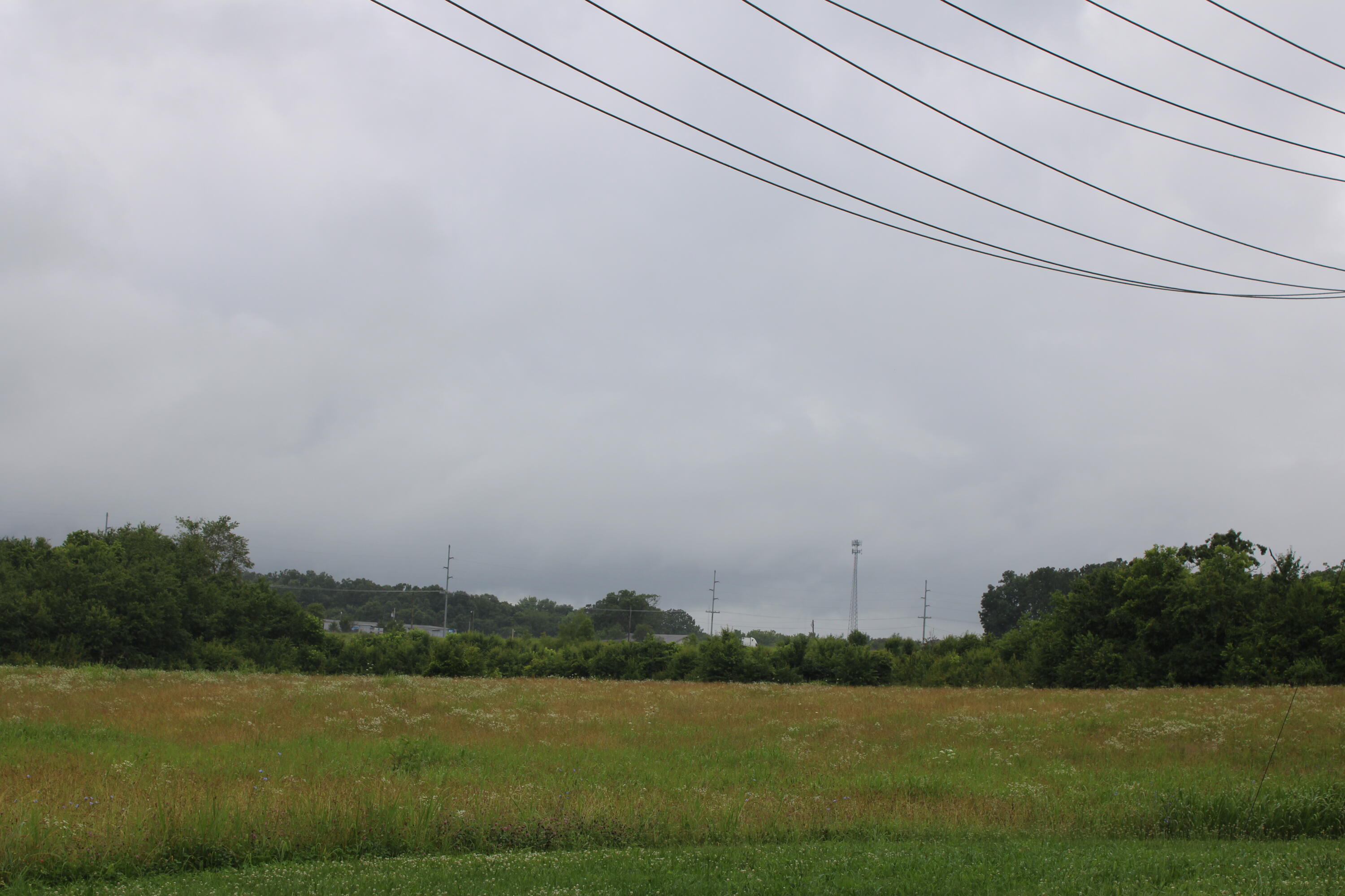Photo 3 - Commercial Sale for sale – 000  Lanton Road   West Plains, MO