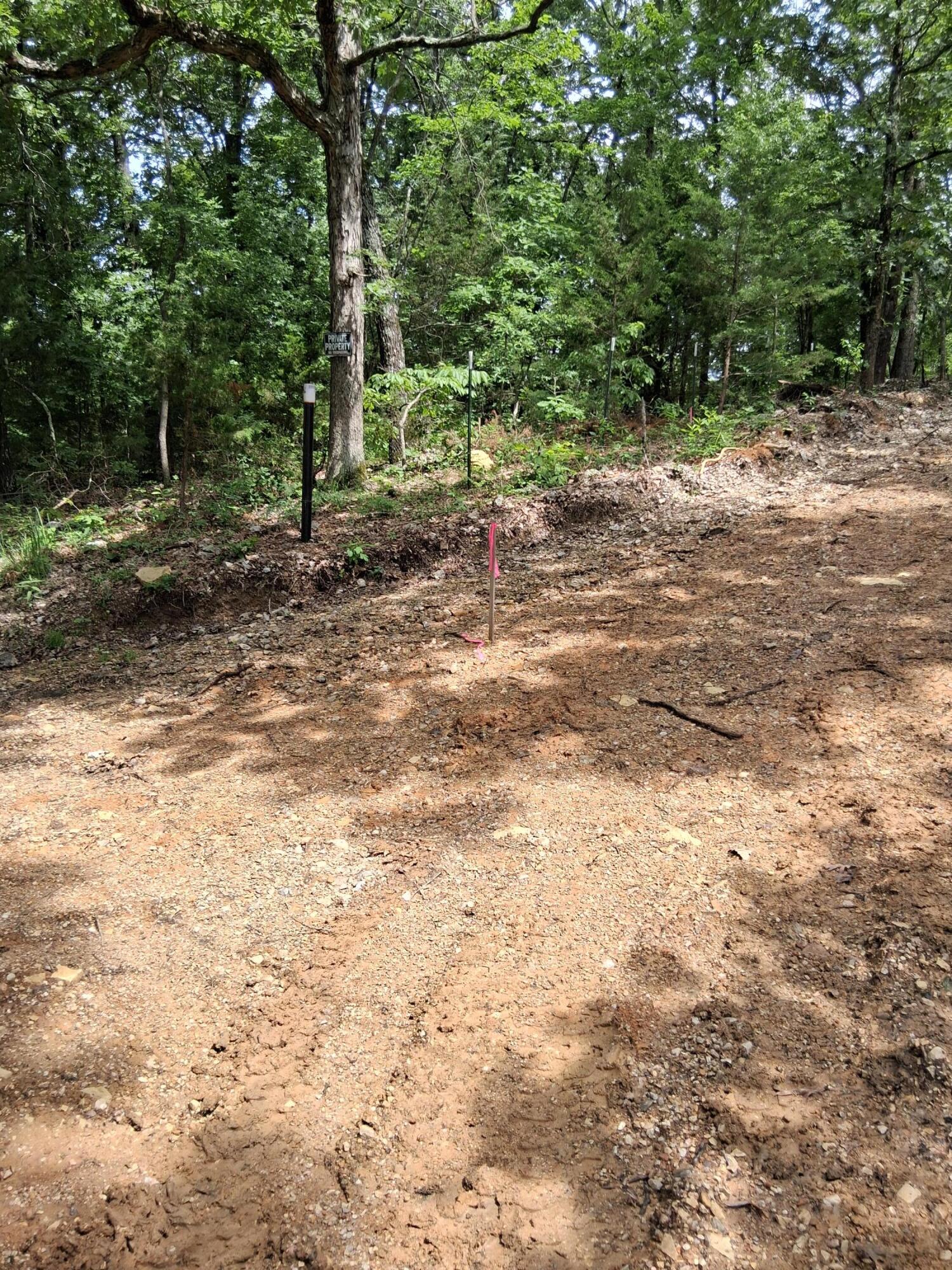 Photo 7 - Land for sale – Tbd  County Road 350   Dora, MO