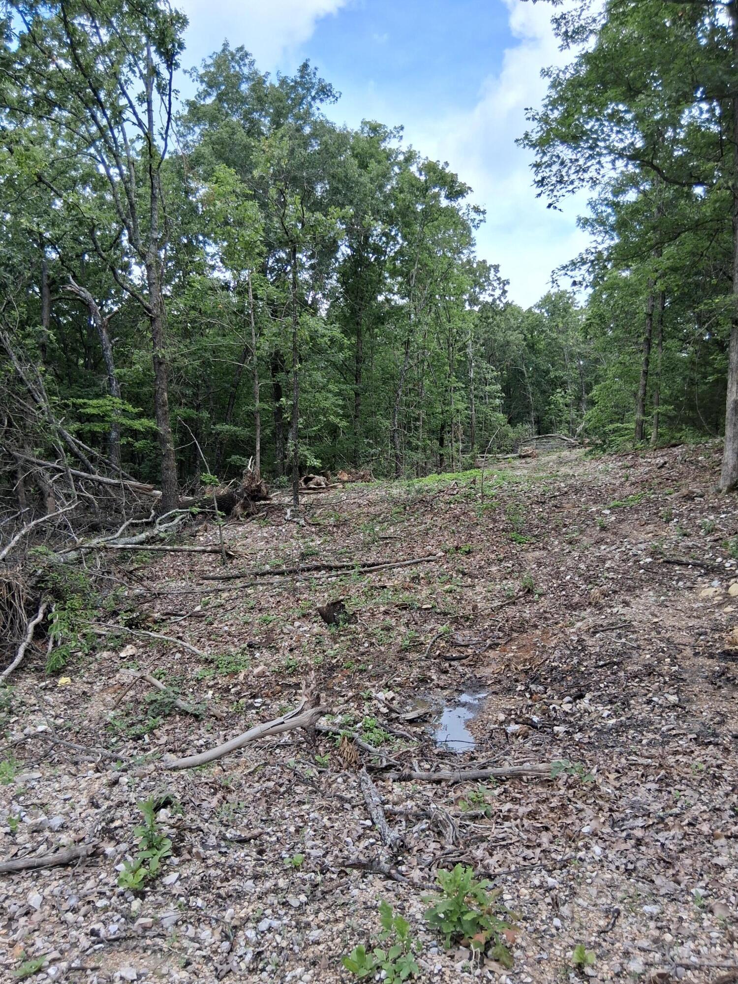 Photo 2 - Land for sale – Tbd  County Road 350   Dora, MO