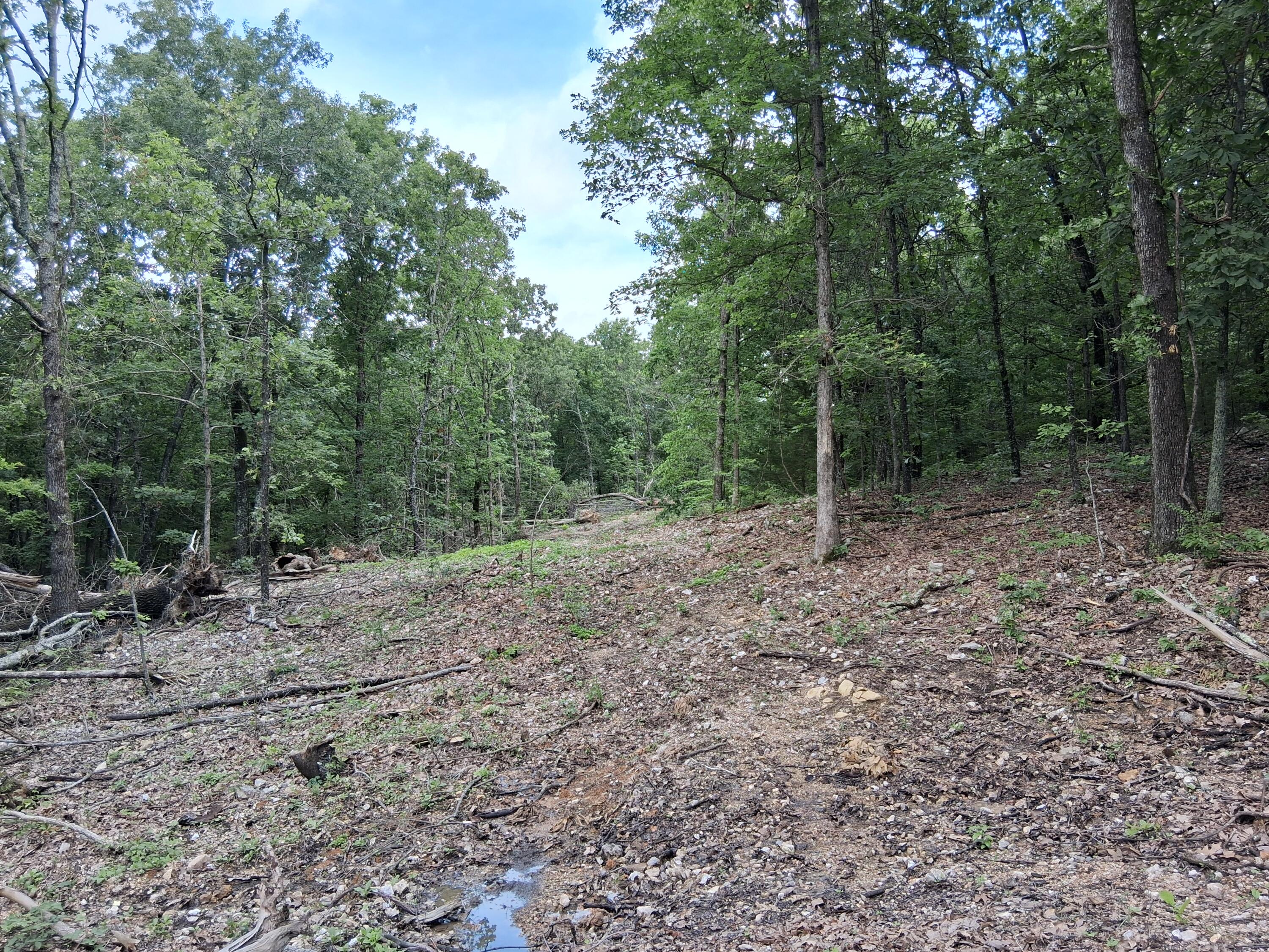 Land for sale – Tbd County Road 350 Dora, MO
