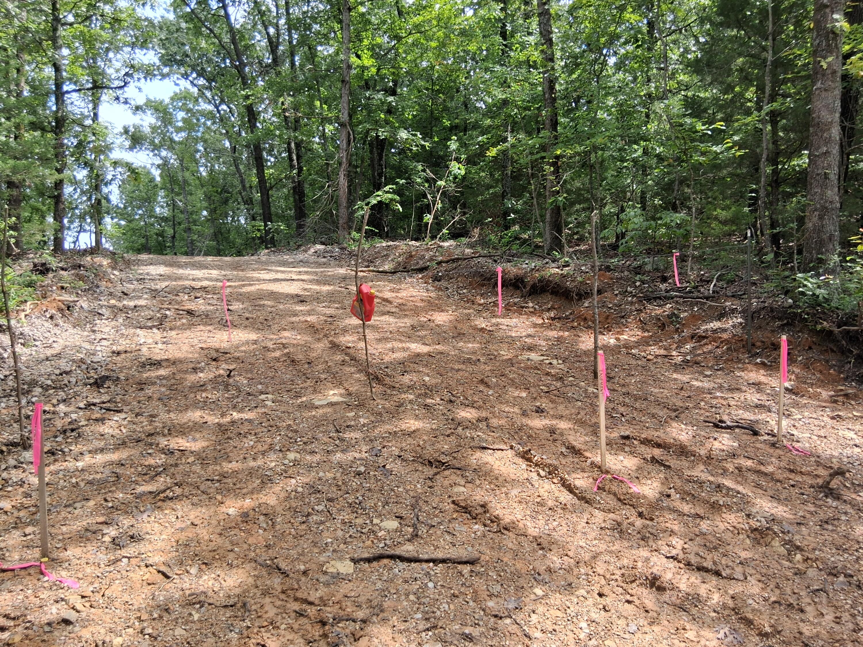 Photo 5 - Land for sale – Tbd  County Road 350   Dora, MO