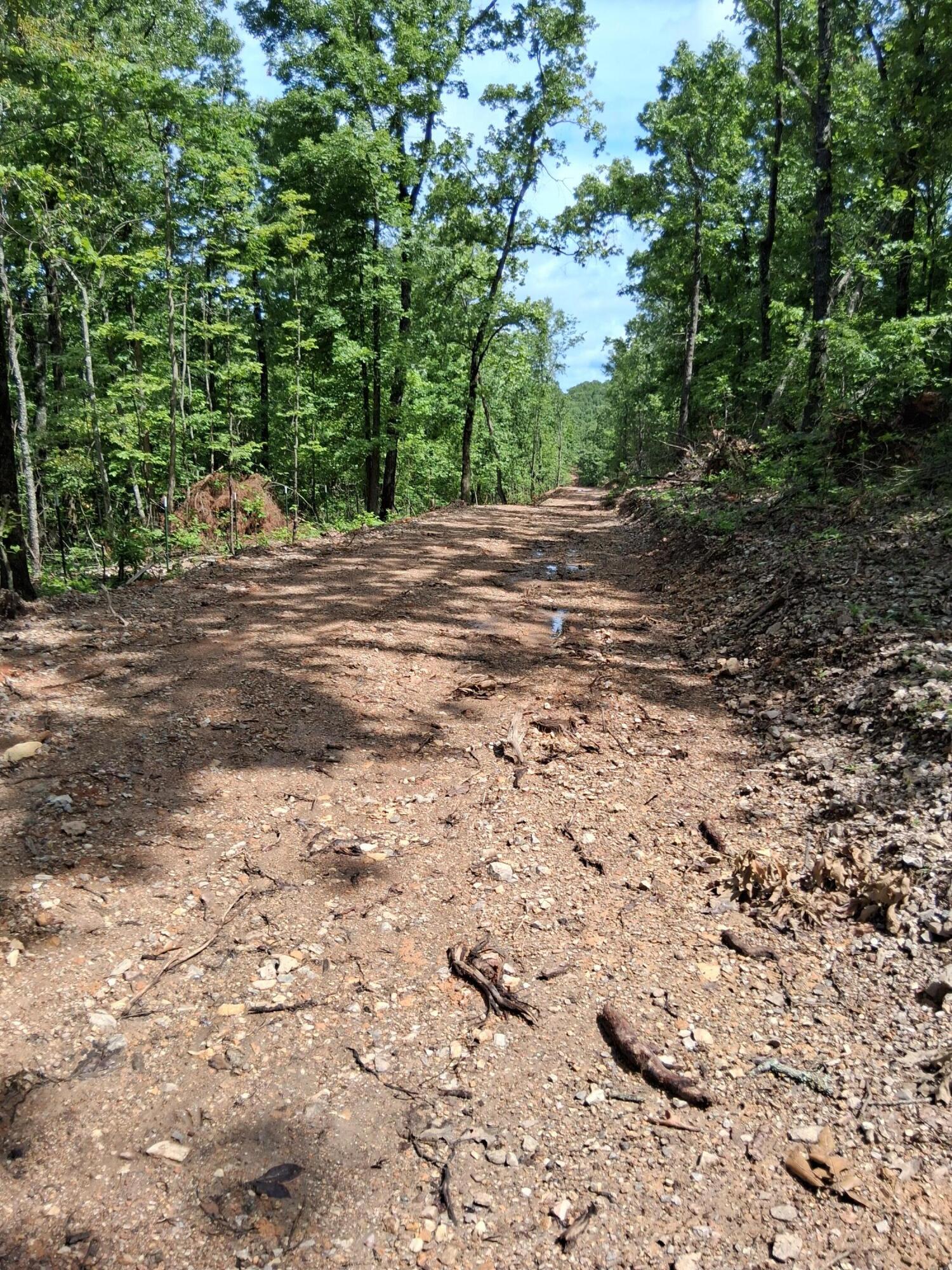 Photo 6 - Land for sale – Tbd  County Road 350   Dora, MO