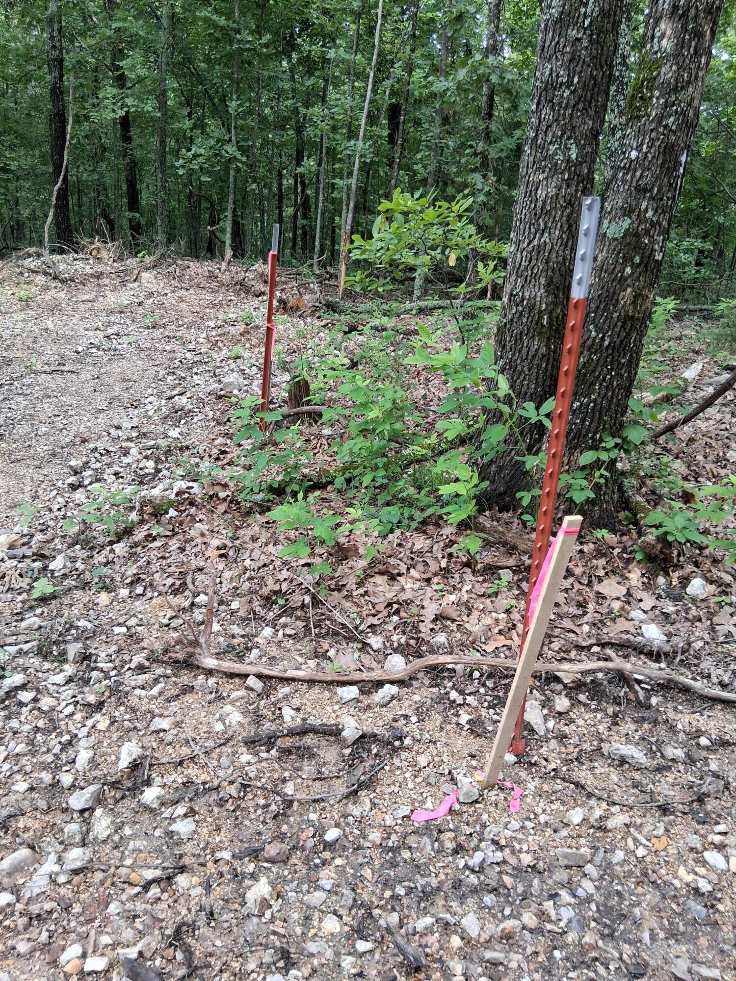 Photo 3 - Land for sale – Tbd  County Road 350   Dora, MO