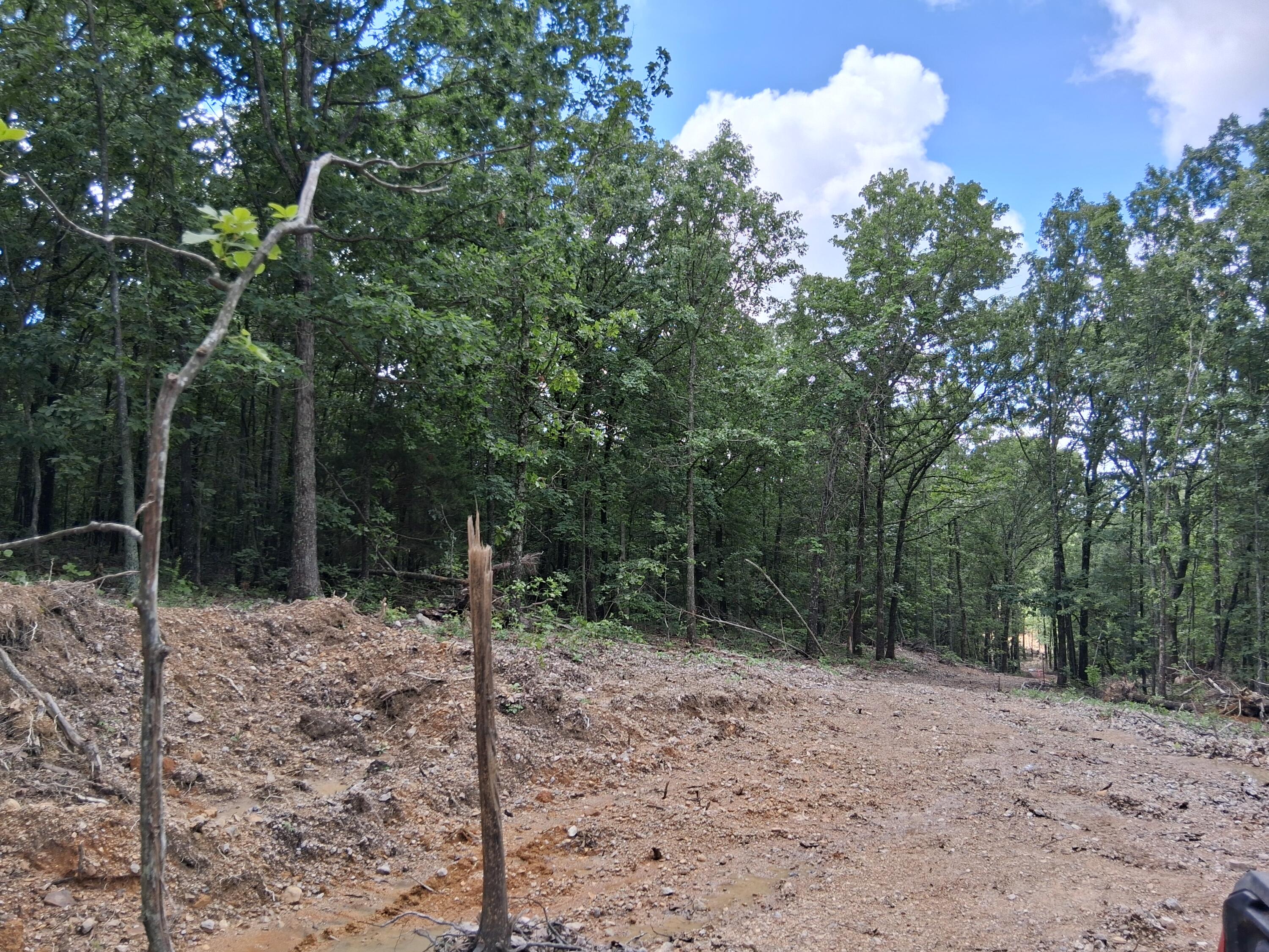 Photo 8 - Land for sale – Tbd  County Road 350   Dora, MO
