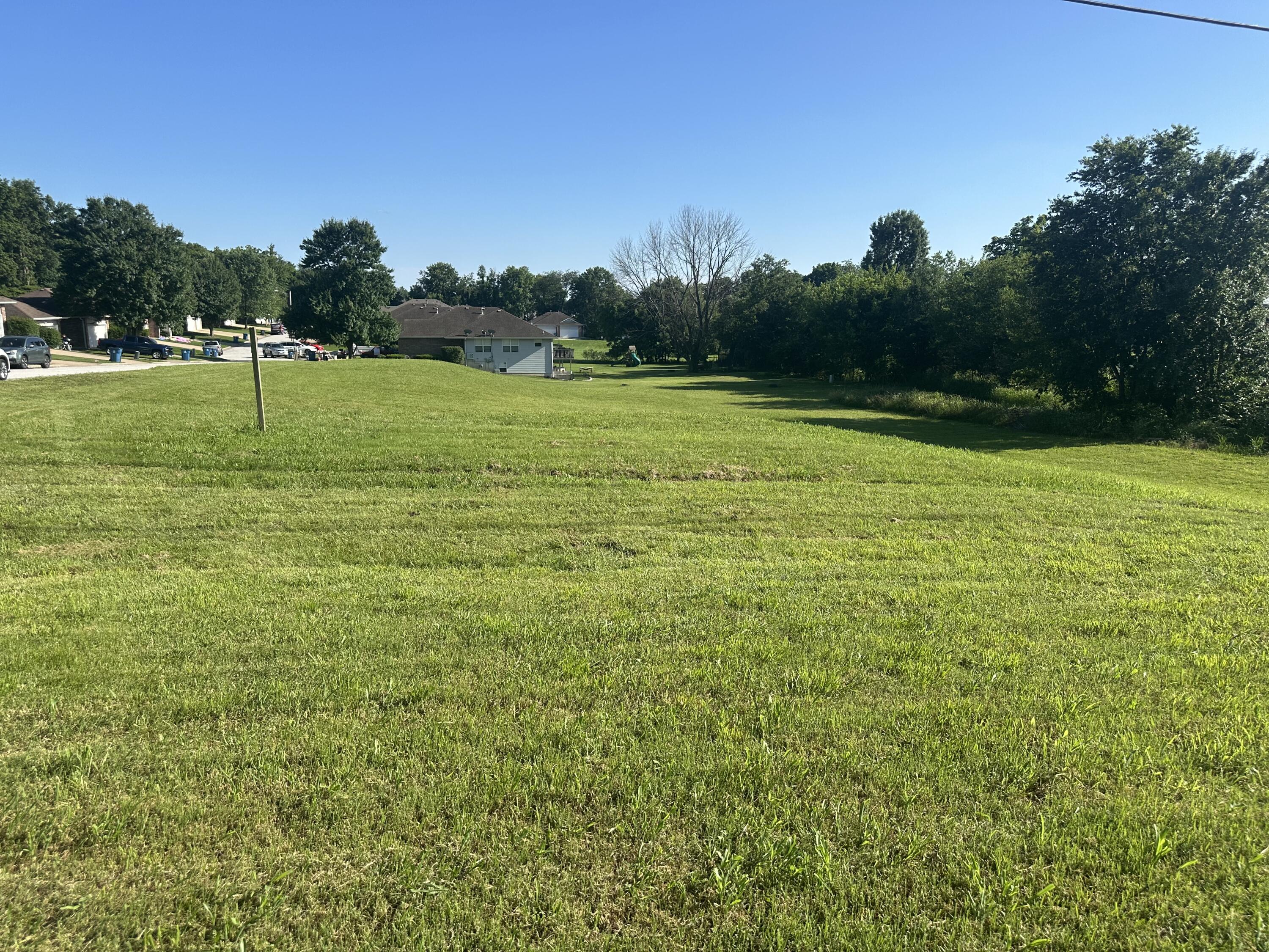Photo 2 - Land for sale – 1703 S 10th Avenue  Ozark, MO