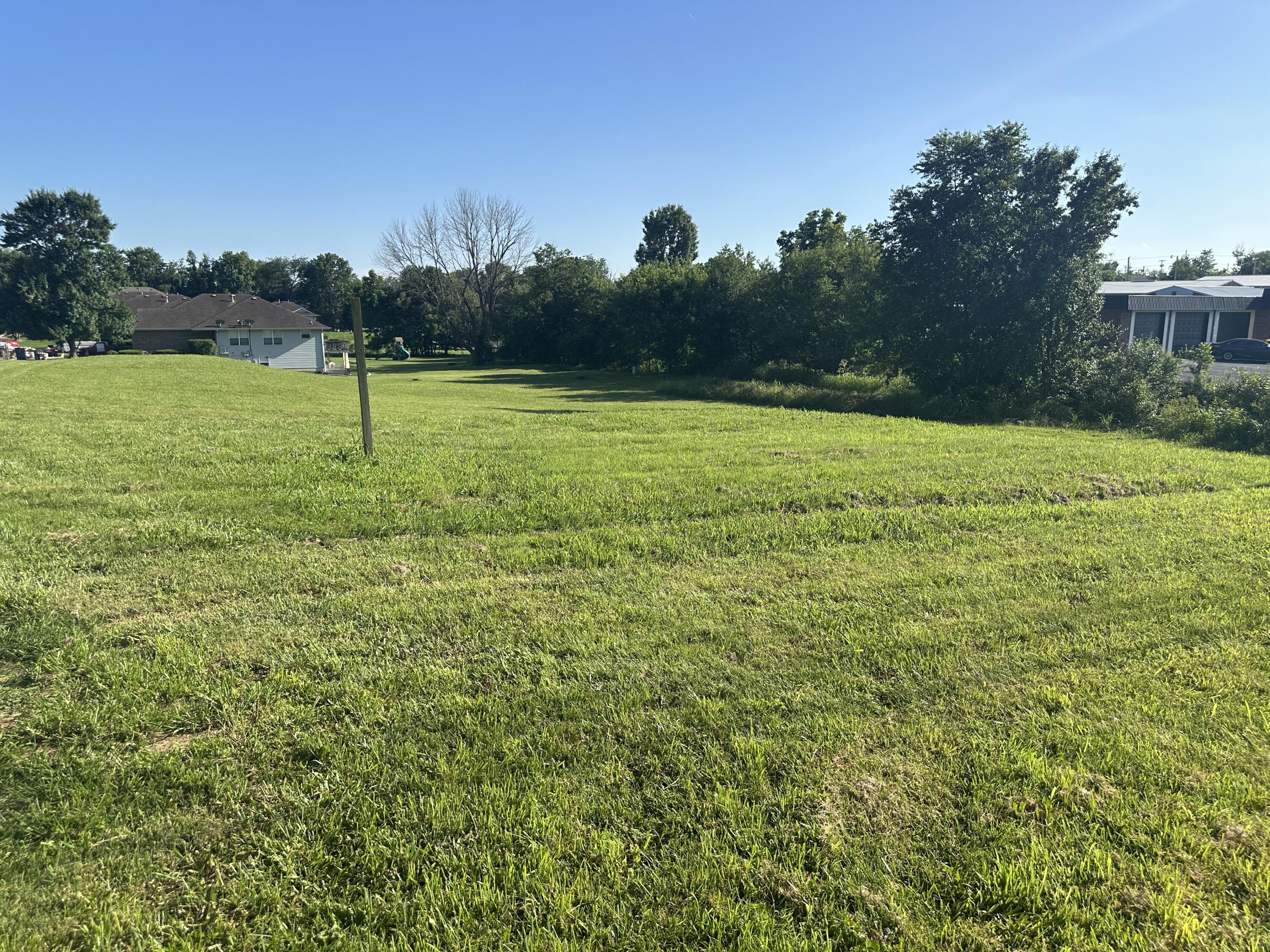 Photo 3 - Land for sale – 1703 S 10th Avenue  Ozark, MO