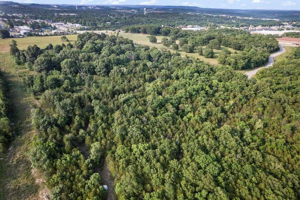 Photo 11 - Land for sale – 000  Branson Meadows Drive  Branson, MO