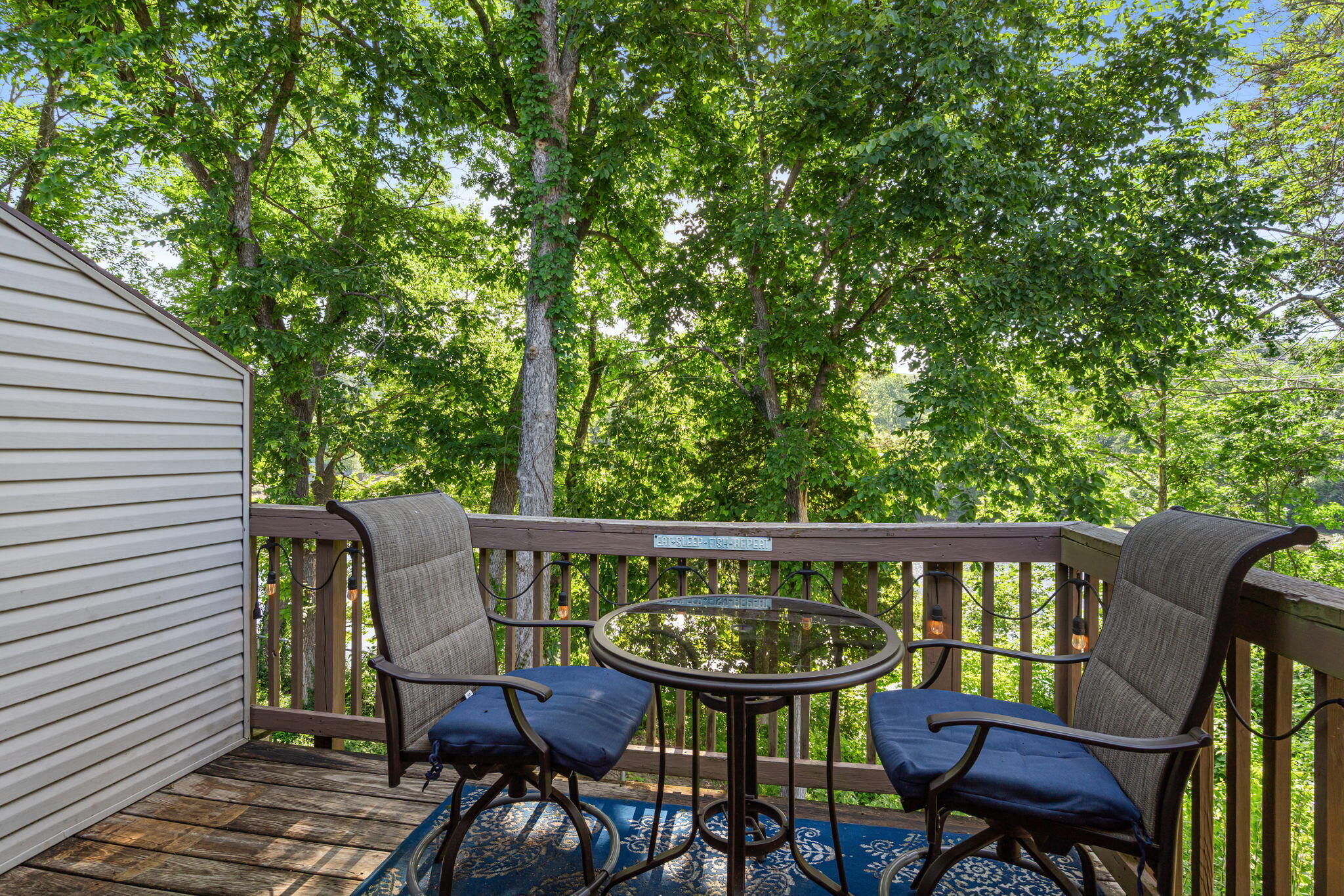 Photo 41 - Residential for sale – 440  Fall Creek Drive  Branson, MO
