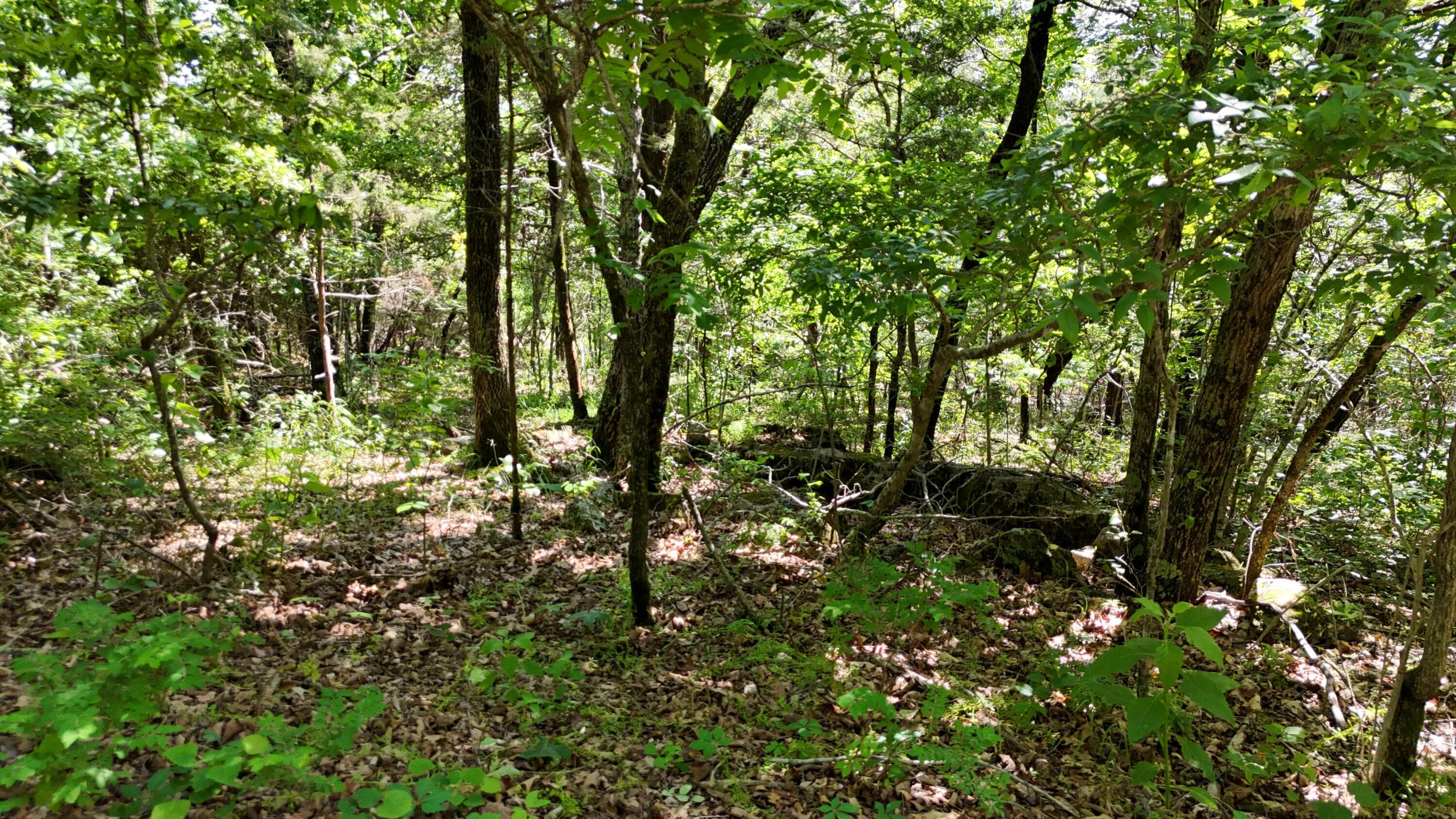 Photo 8 - Land for sale – 000  Farm Road 1197   Eagle Rock, MO