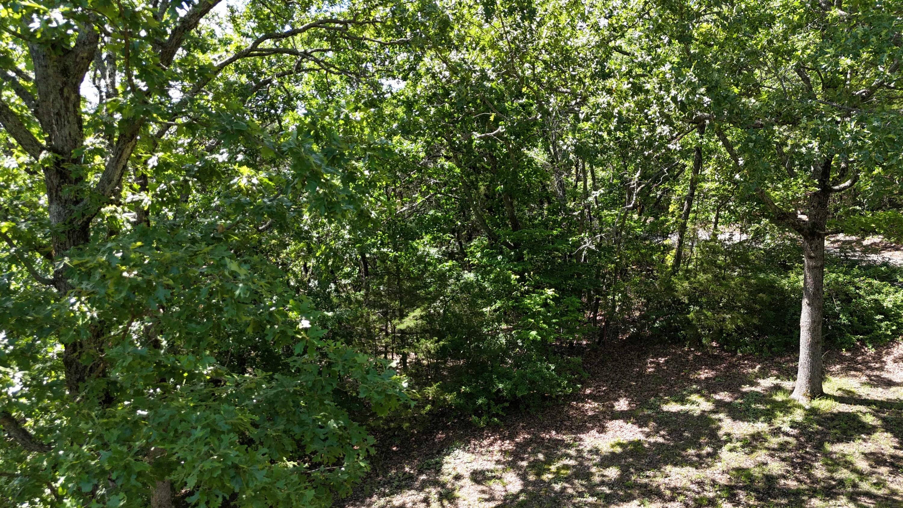 Photo 3 - Land for sale – 000  Farm Road 1197   Eagle Rock, MO