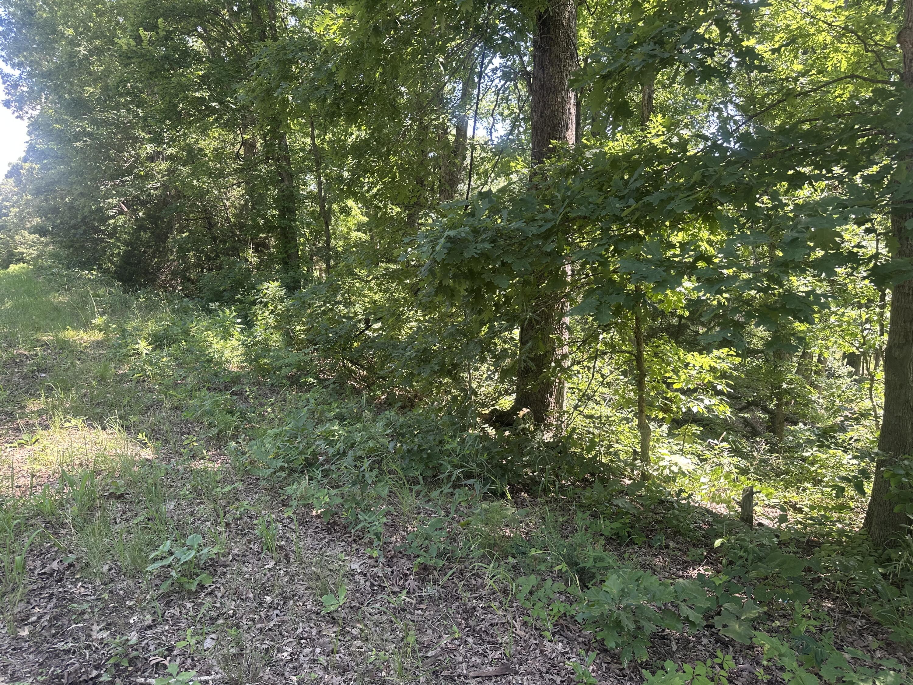 Photo 5 - Land for sale – Tbd E Highway N   Stockton, MO