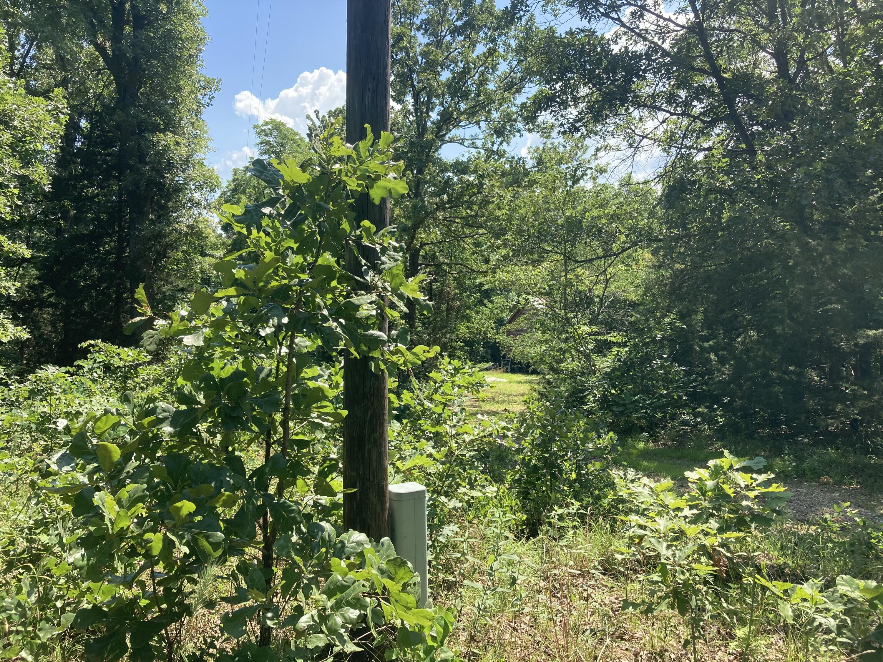 Photo 7 - Land for sale – Tbd E Highway N   Stockton, MO