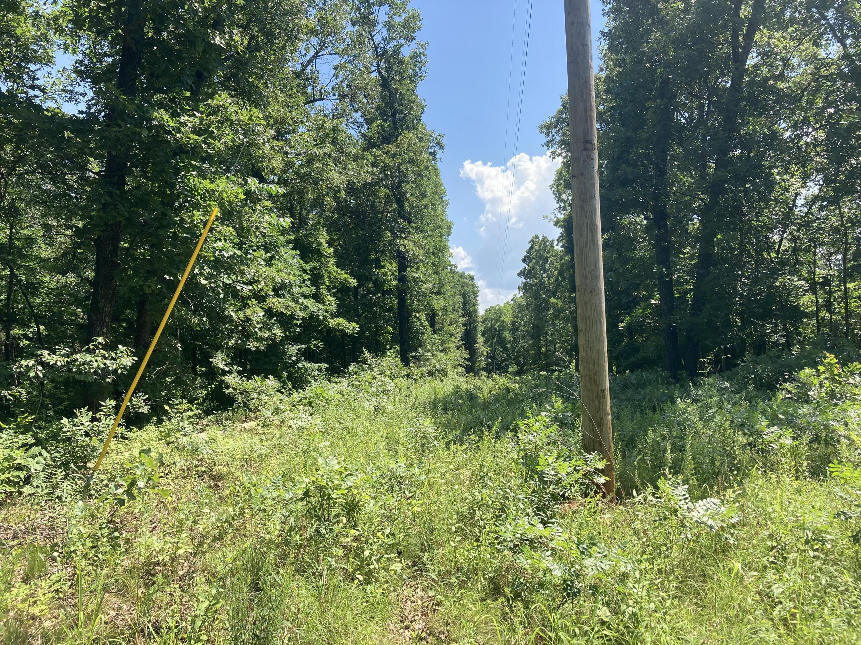 Photo 6 - Land for sale – Tbd E Highway N   Stockton, MO