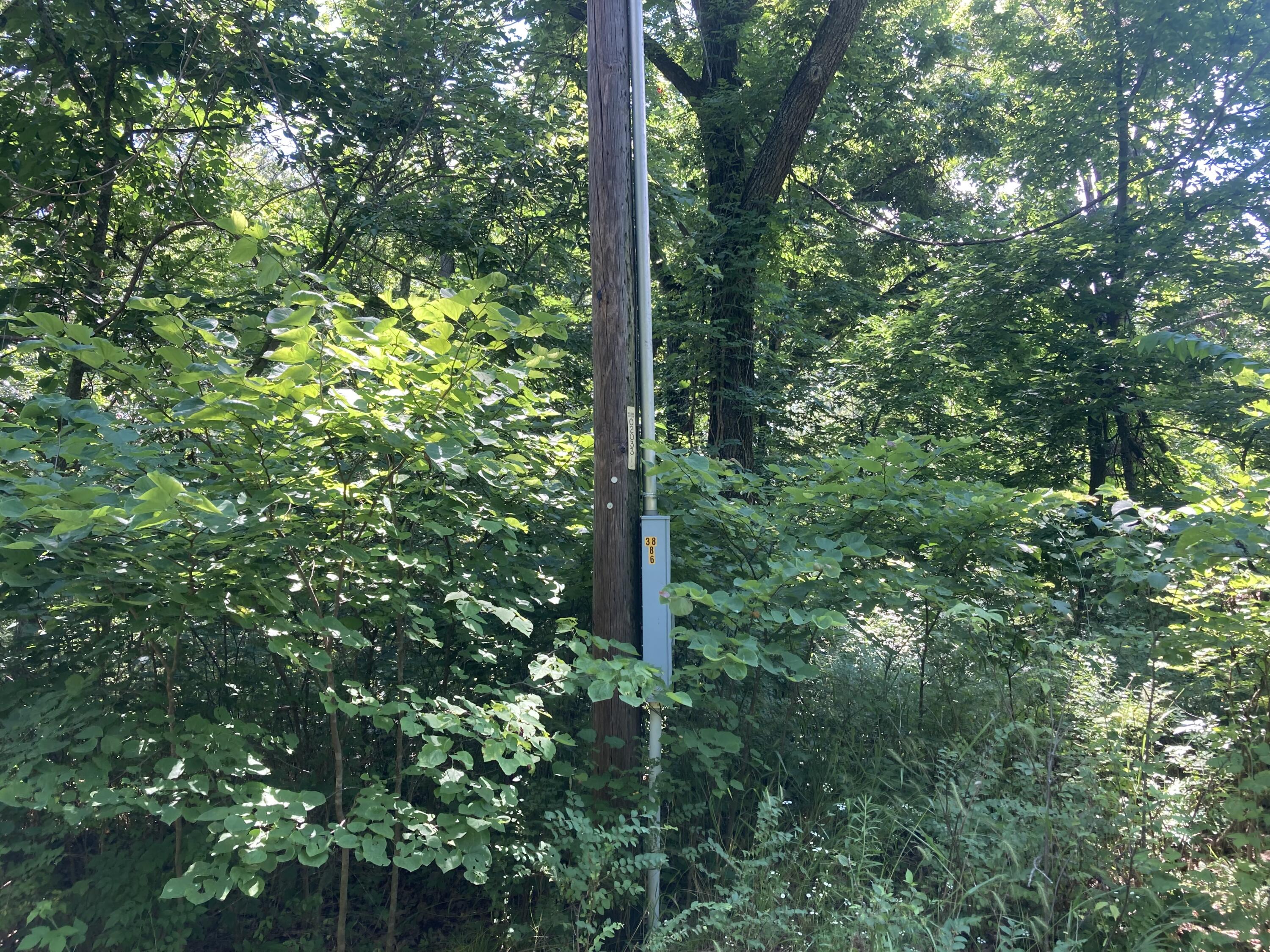 Photo 8 - Land for sale – Tbd E Highway N   Stockton, MO
