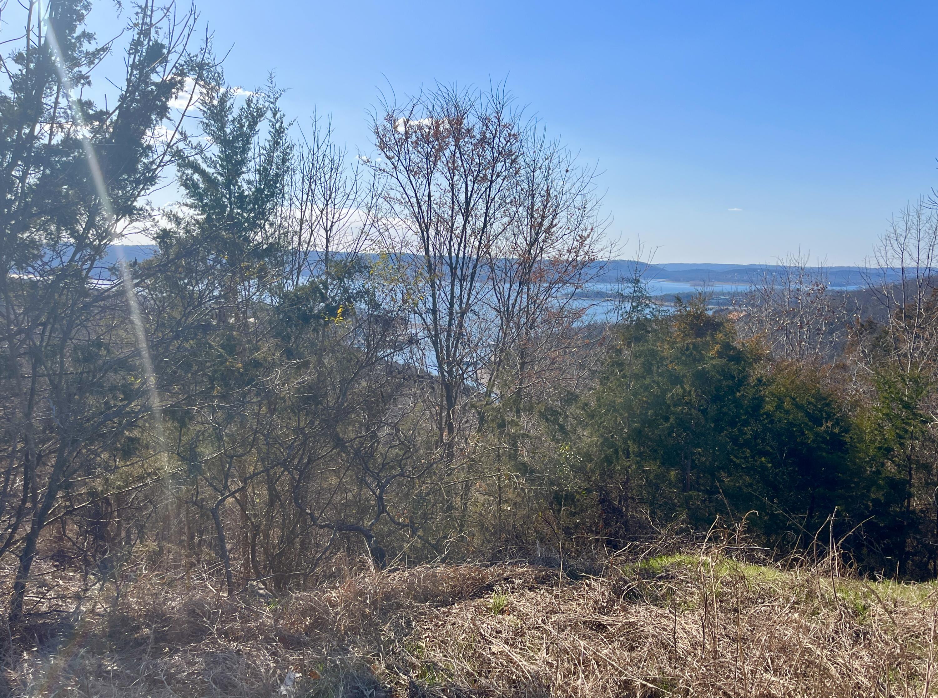 Photo 2 - Land for sale – 285  Eagles Crest Drive  Hollister, MO