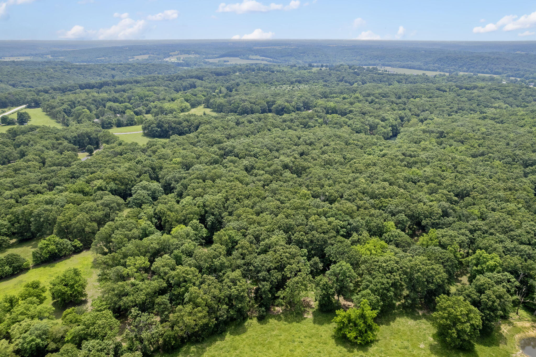 Photo 6 - Land for sale – Tract 8a N Farm Road 245   Strafford, MO