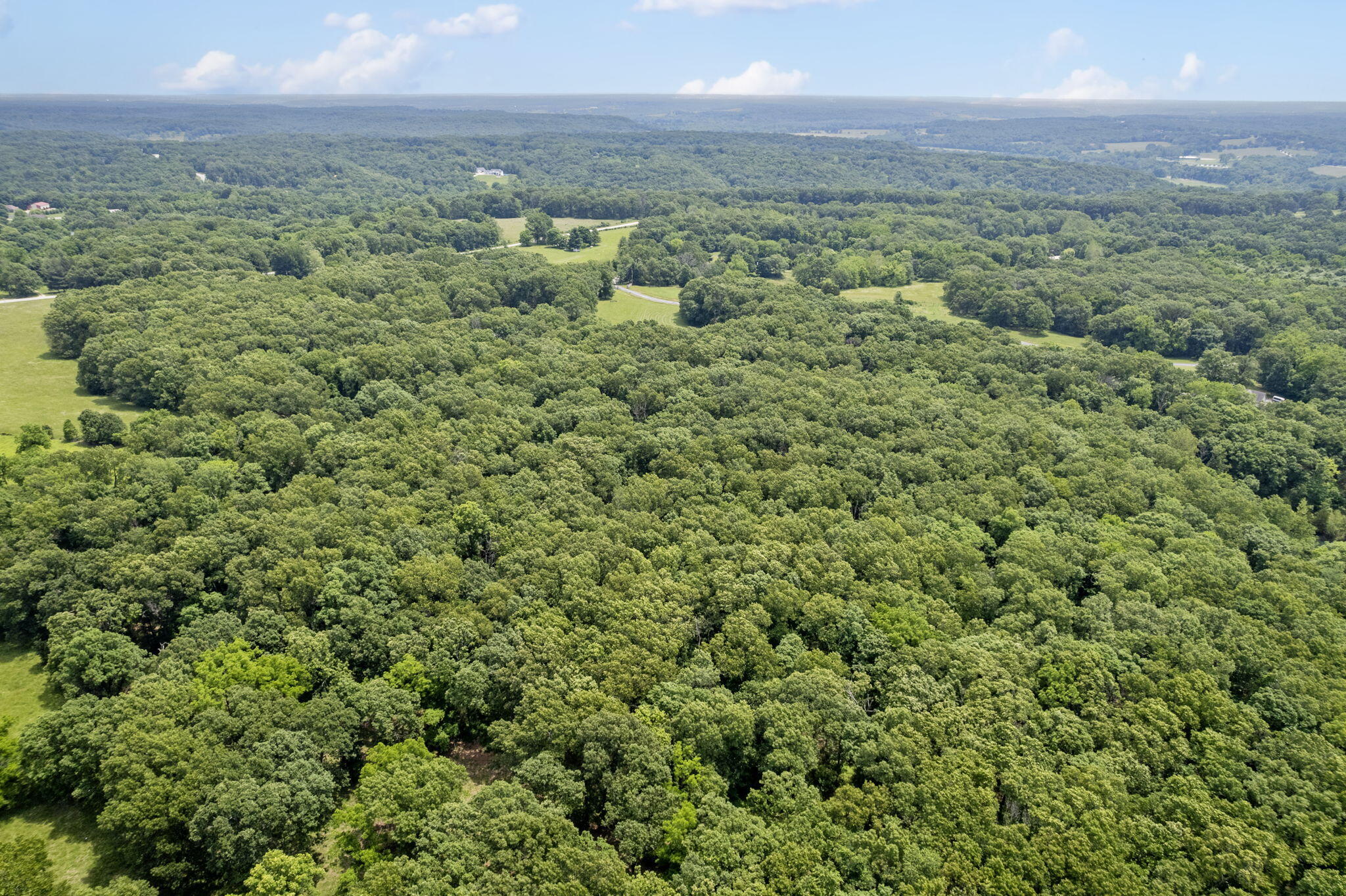 Photo 7 - Land for sale – Tract 8a N Farm Road 245   Strafford, MO