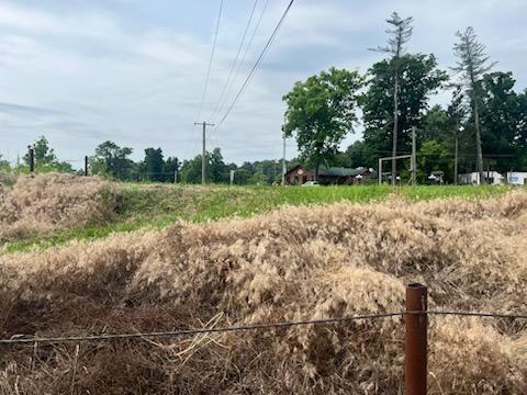Photo 5 - Land for sale – 95  Main   Mammoth Spring, AR