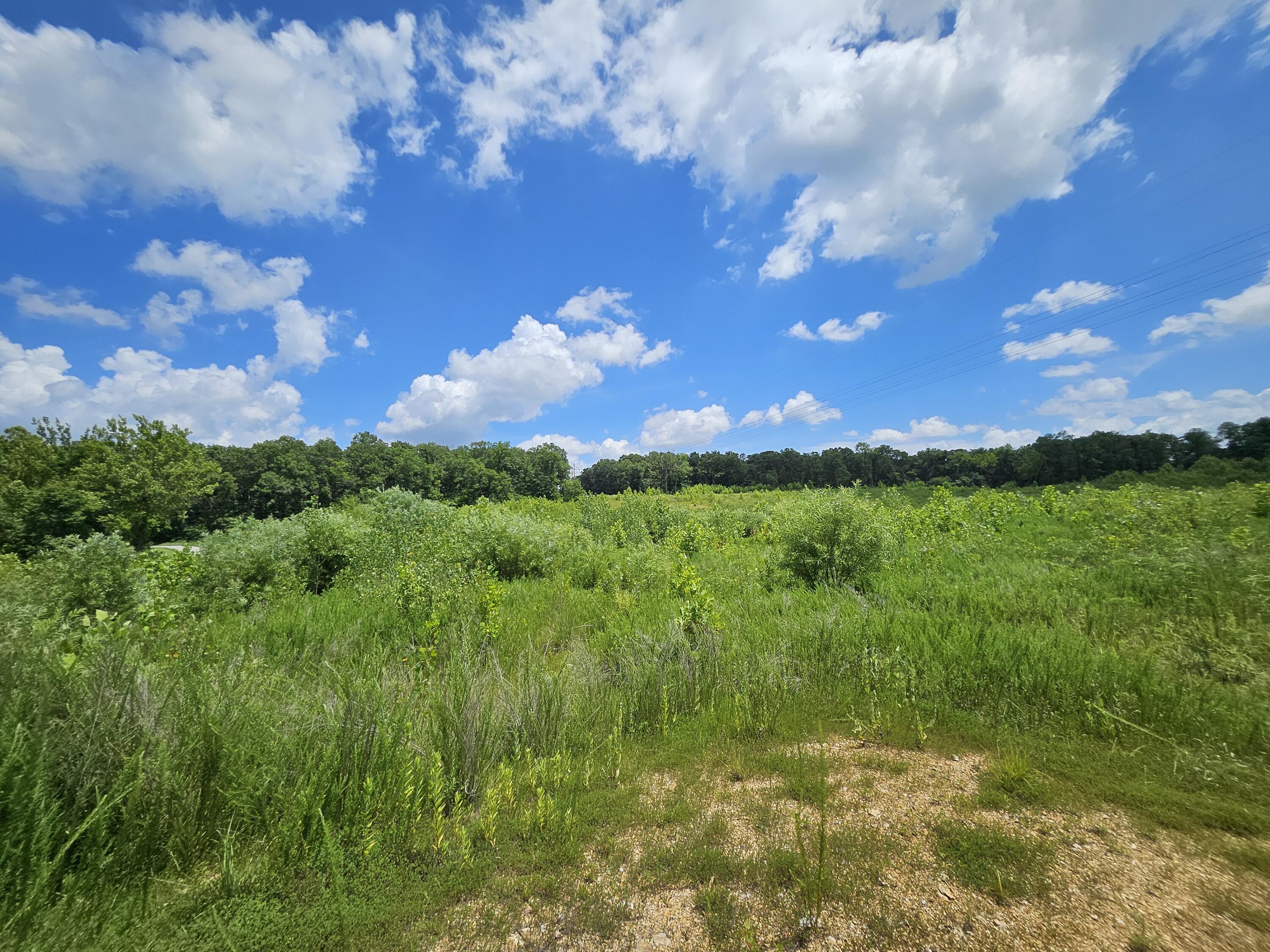 Photo 8 - Land for sale – 000  Dogwood Lane   Joplin, MO