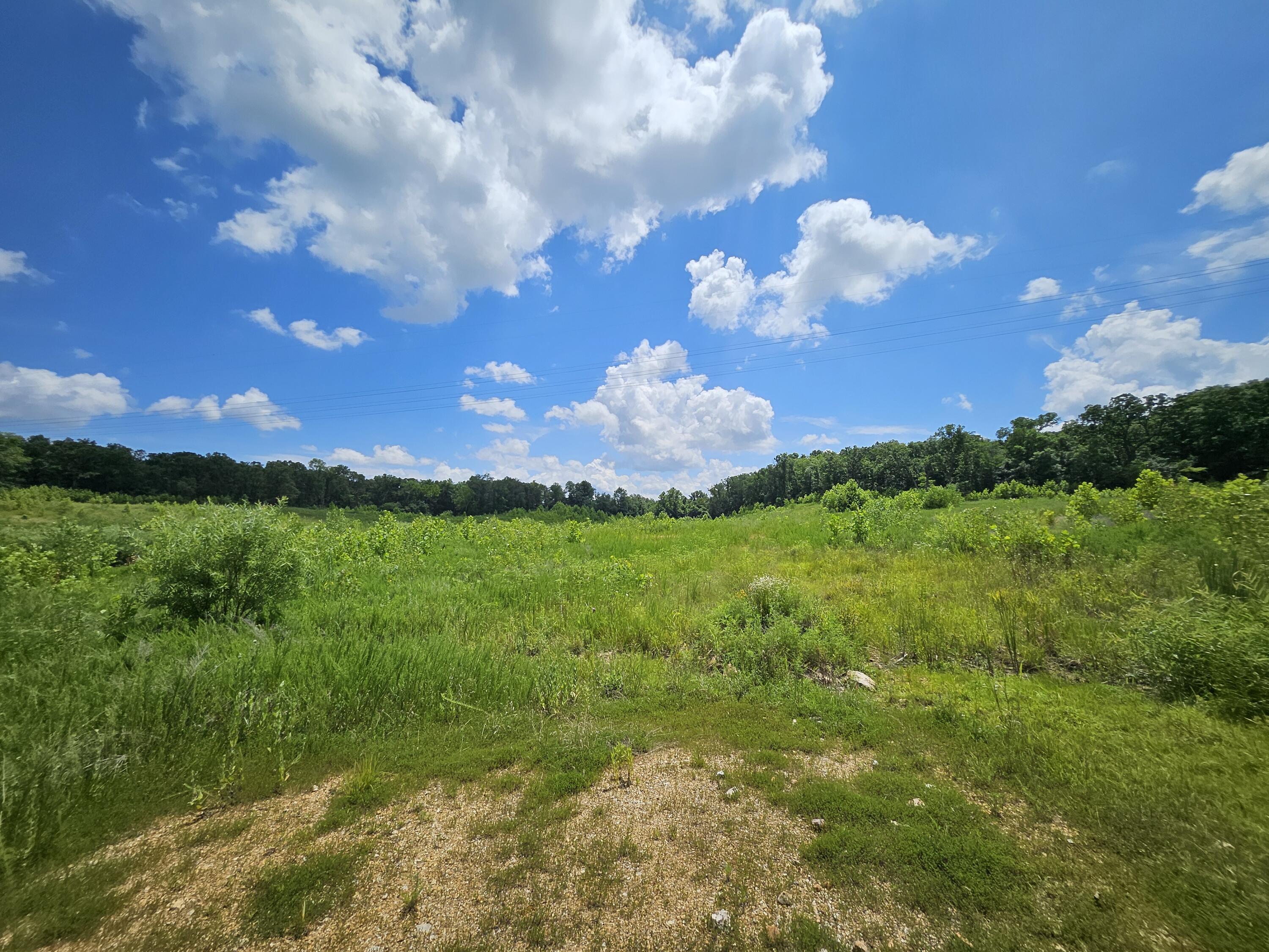 Photo 7 - Land for sale – 000  Dogwood Lane   Joplin, MO