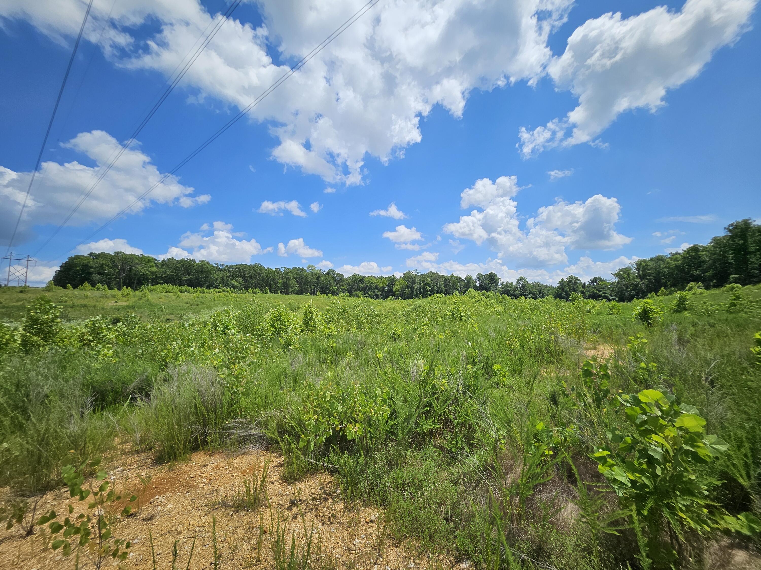 Photo 13 - Land for sale – 000  Dogwood Lane   Joplin, MO