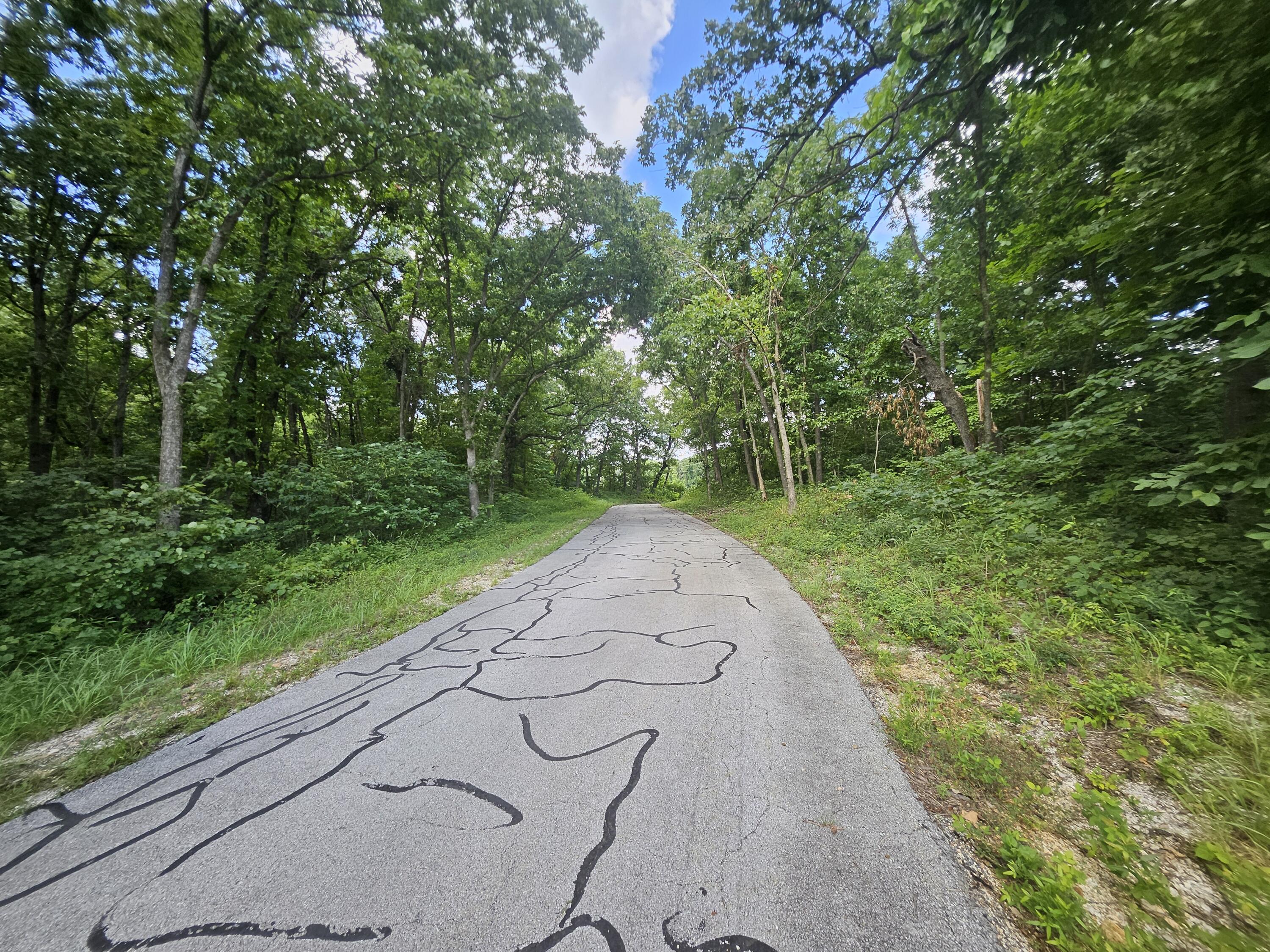 Photo 18 - Land for sale – 000  Dogwood Lane   Joplin, MO