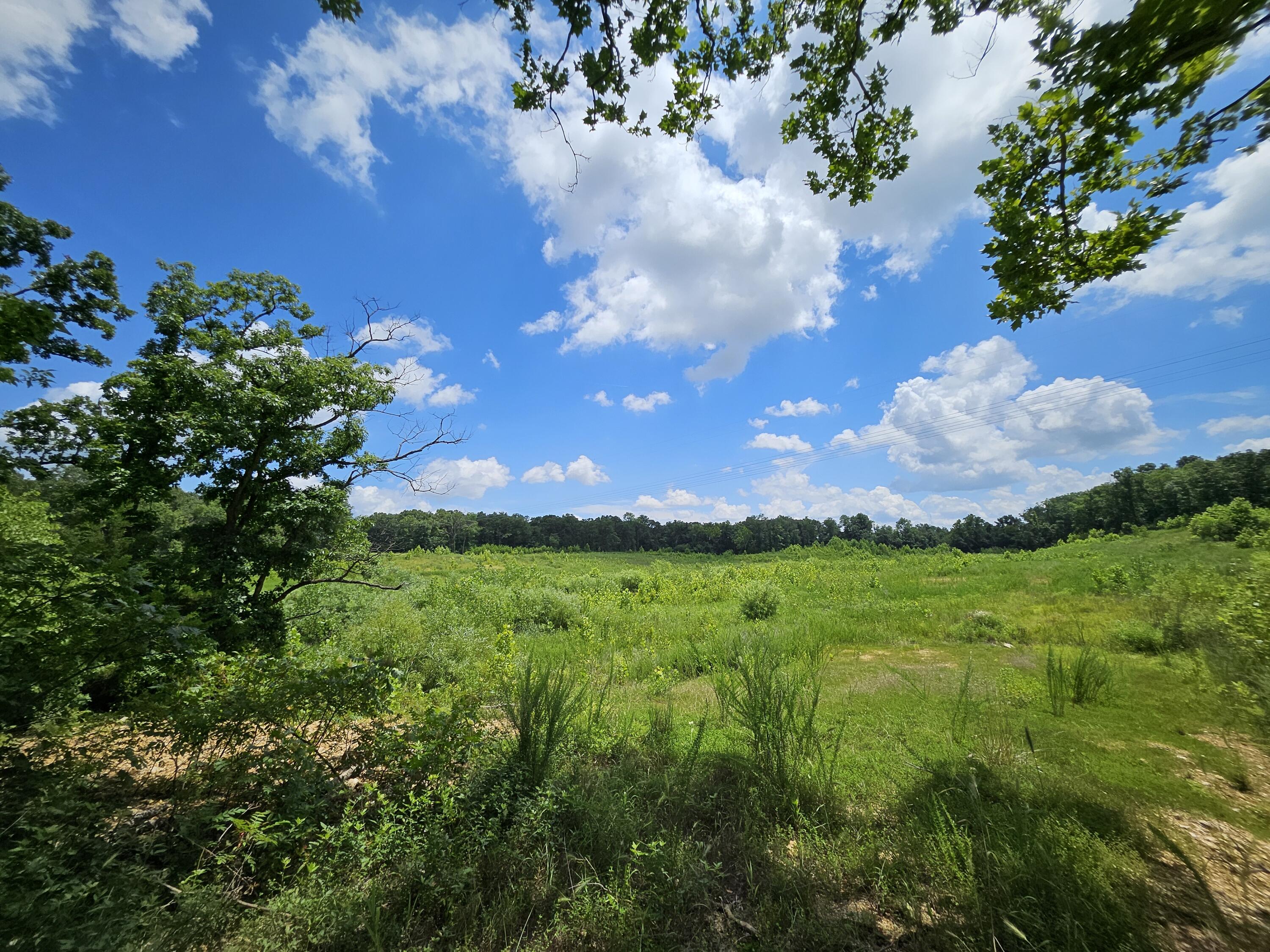 Photo 6 - Land for sale – 000  Dogwood Lane   Joplin, MO