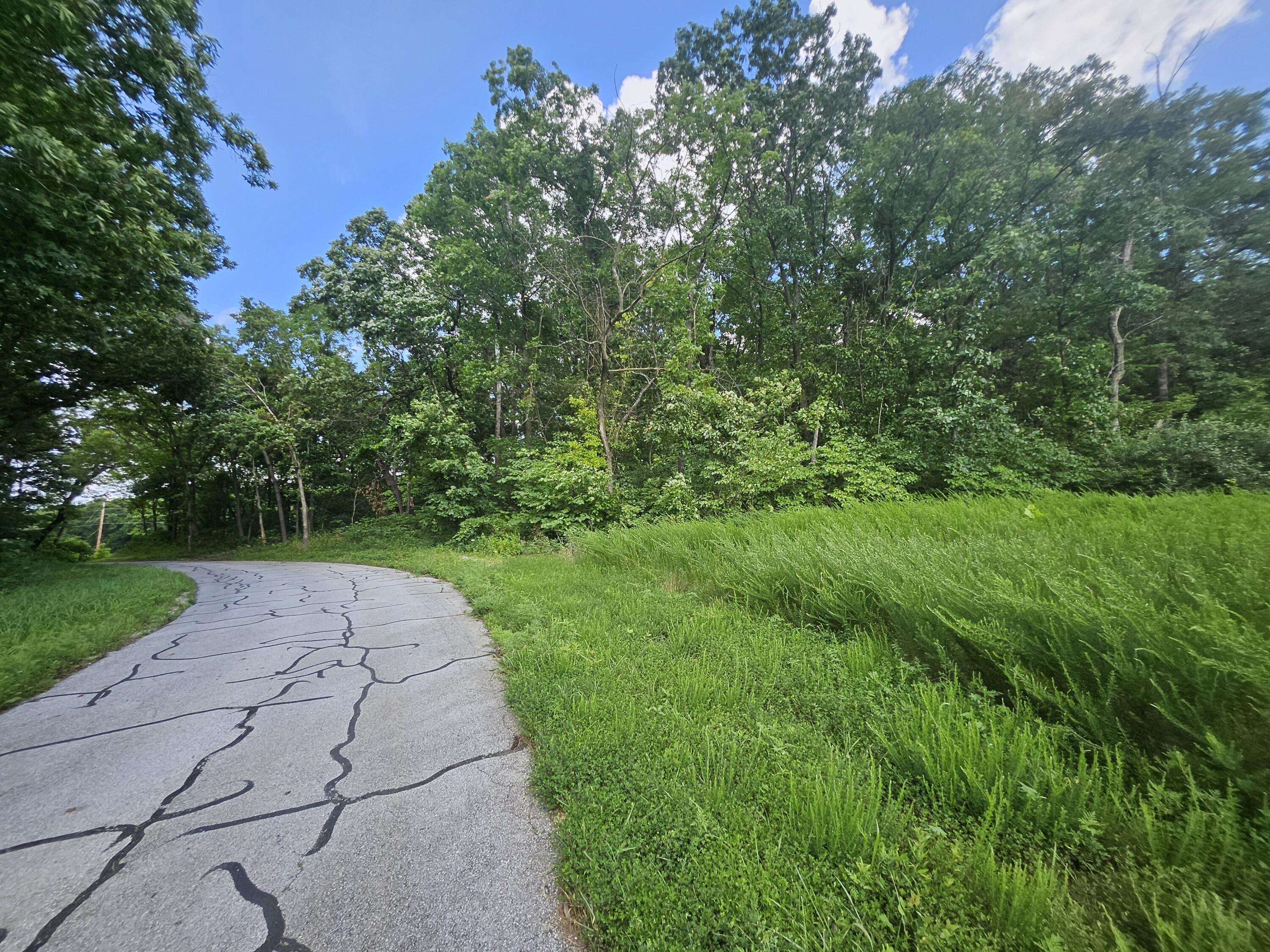 Photo 17 - Land for sale – 000  Dogwood Lane   Joplin, MO