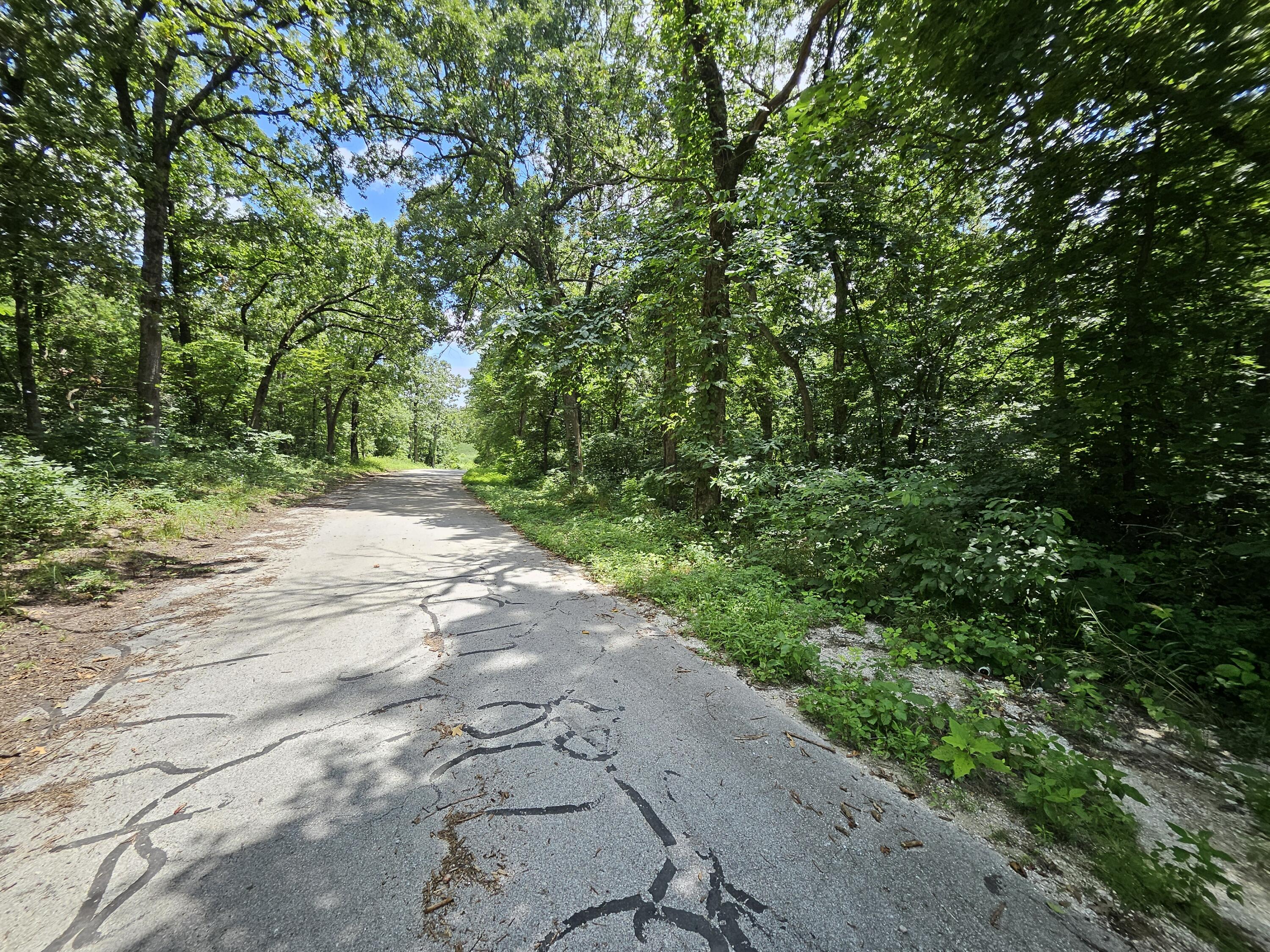 Photo 3 - Land for sale – 000  Dogwood Lane   Joplin, MO