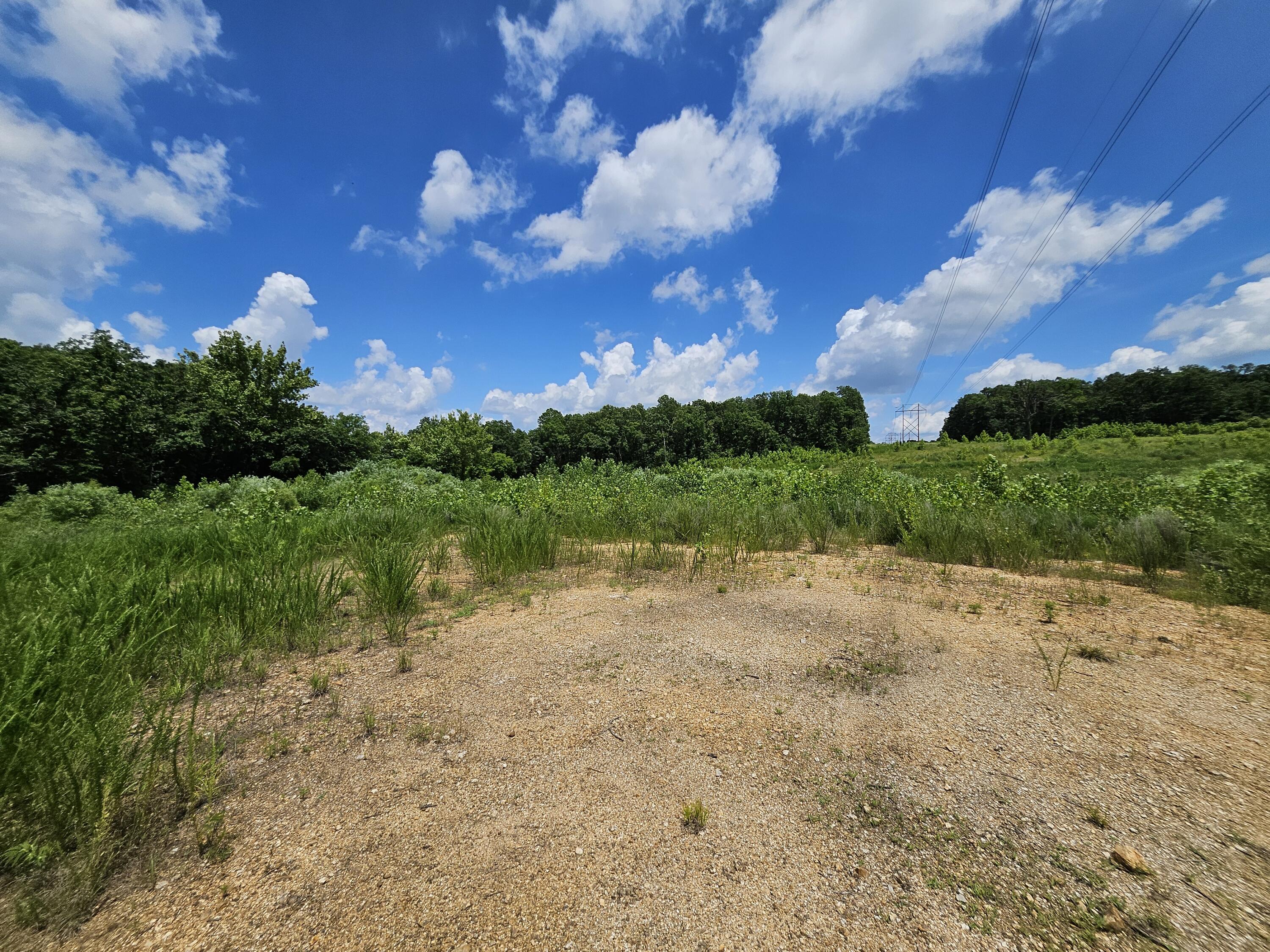 Photo 11 - Land for sale – 000  Dogwood Lane   Joplin, MO