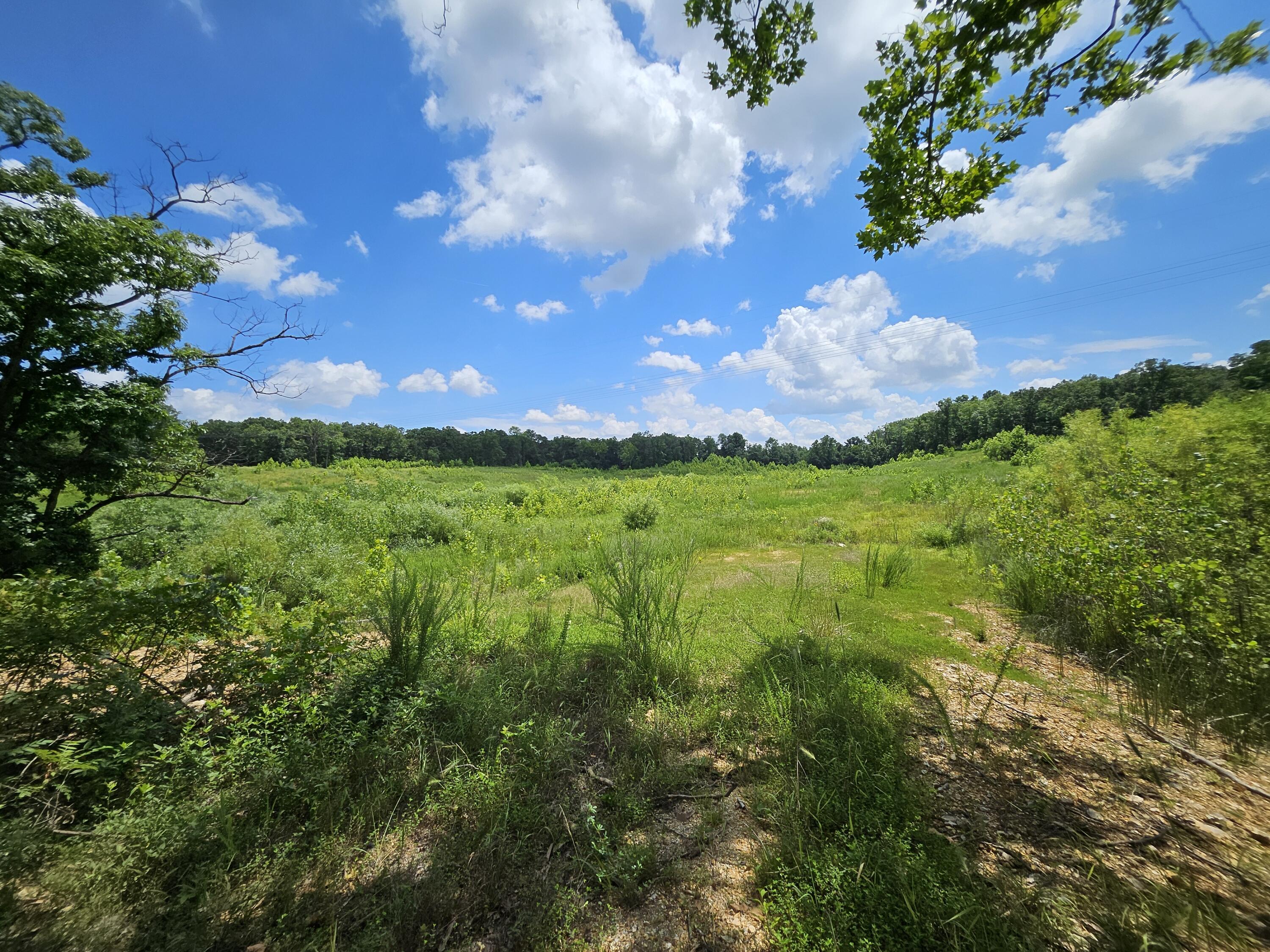 Photo 5 - Land for sale – 000  Dogwood Lane   Joplin, MO