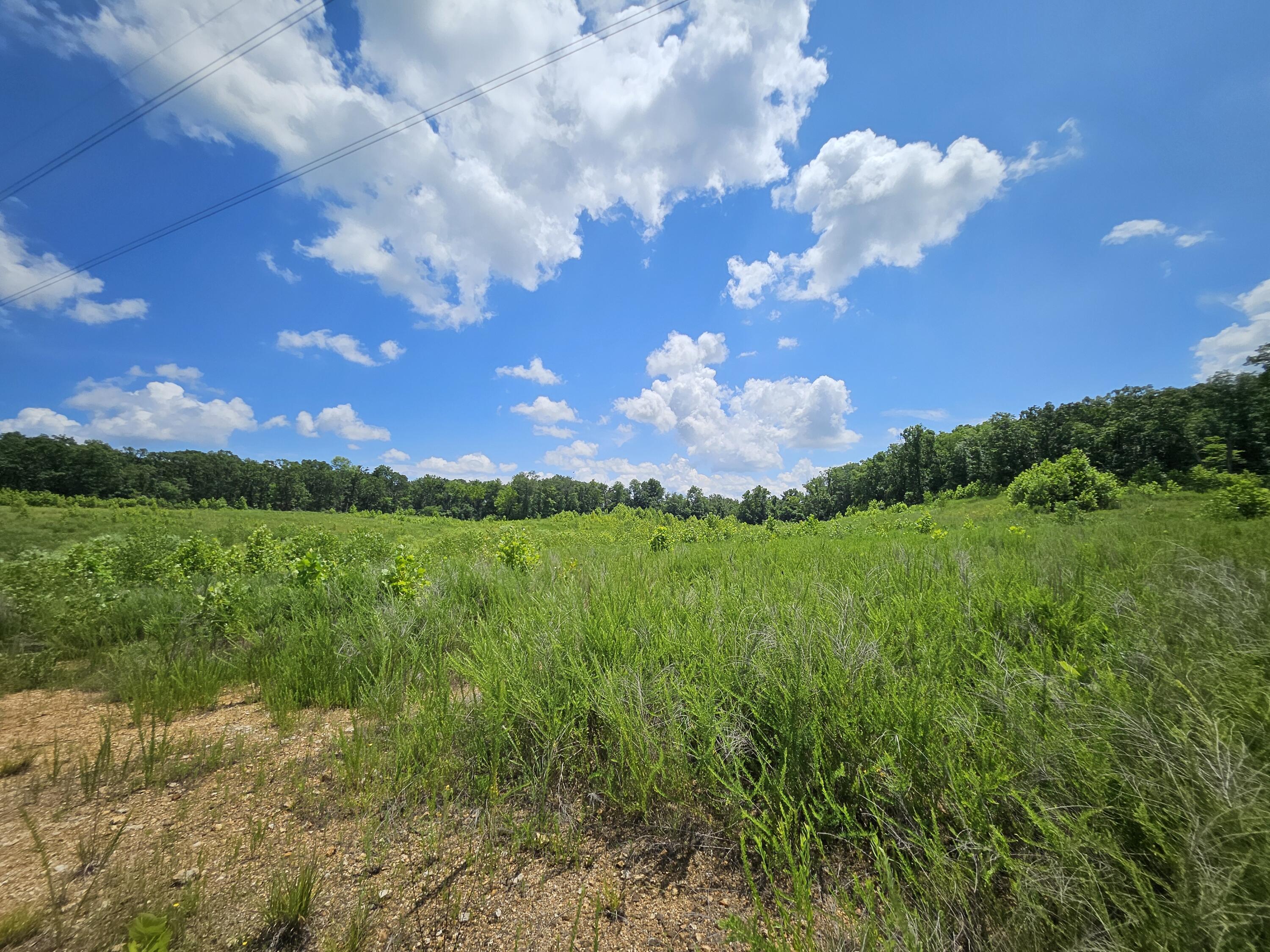 Photo 10 - Land for sale – 000  Dogwood Lane   Joplin, MO