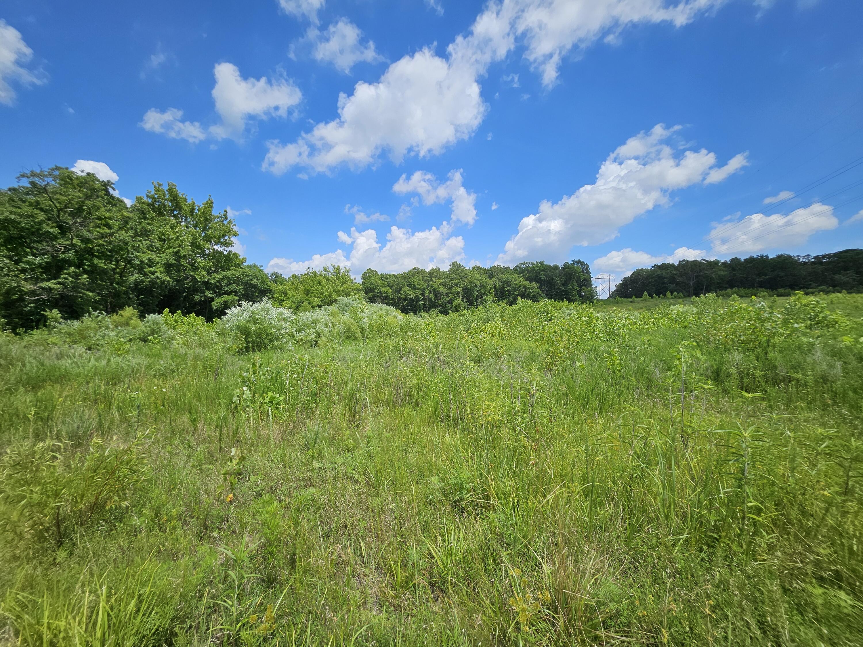 Photo 9 - Land for sale – 000  Dogwood Lane   Joplin, MO