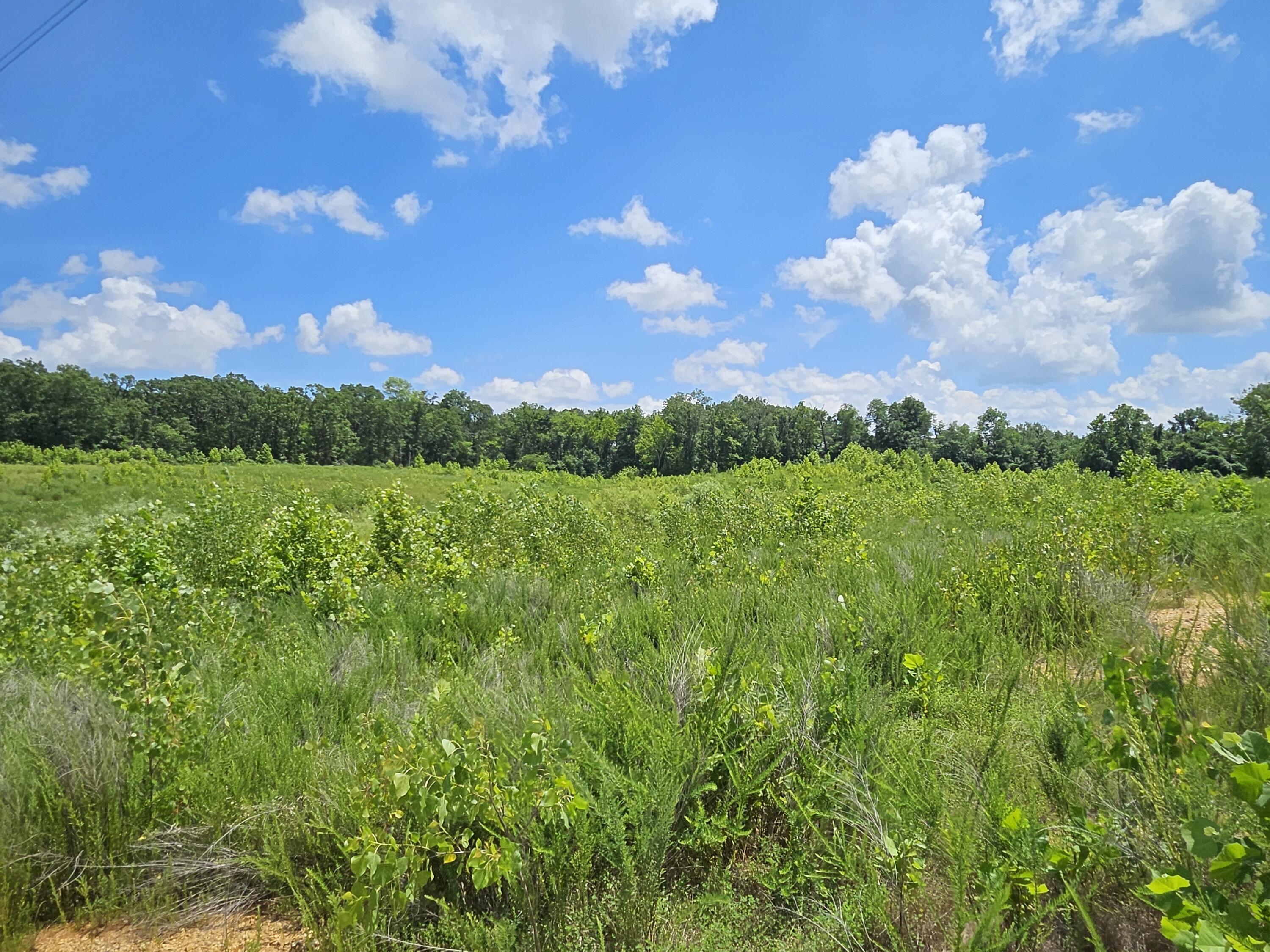 Photo 12 - Land for sale – 000  Dogwood Lane   Joplin, MO
