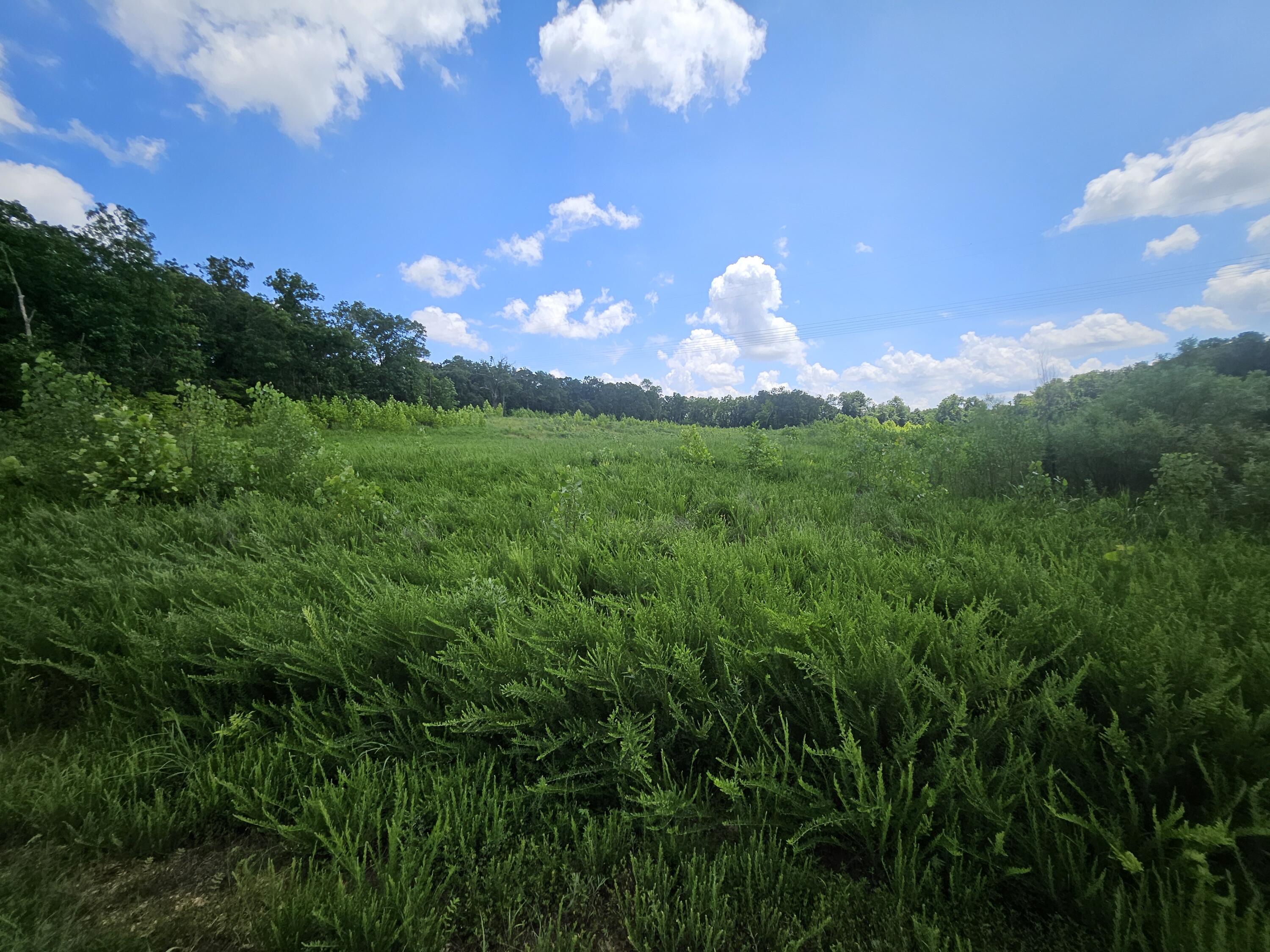 Photo 16 - Land for sale – 000  Dogwood Lane   Joplin, MO