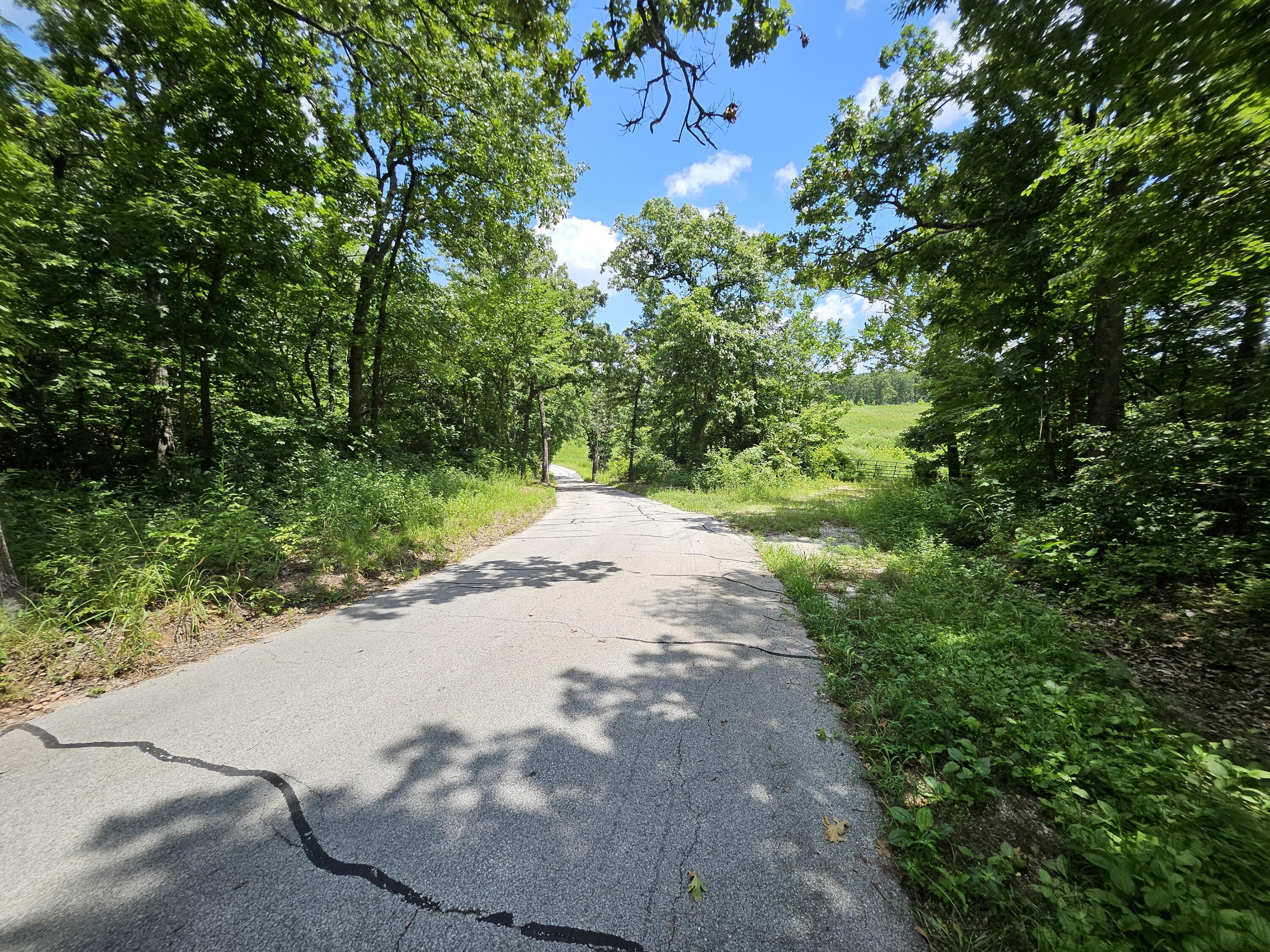 Photo 4 - Land for sale – 000  Dogwood Lane   Joplin, MO