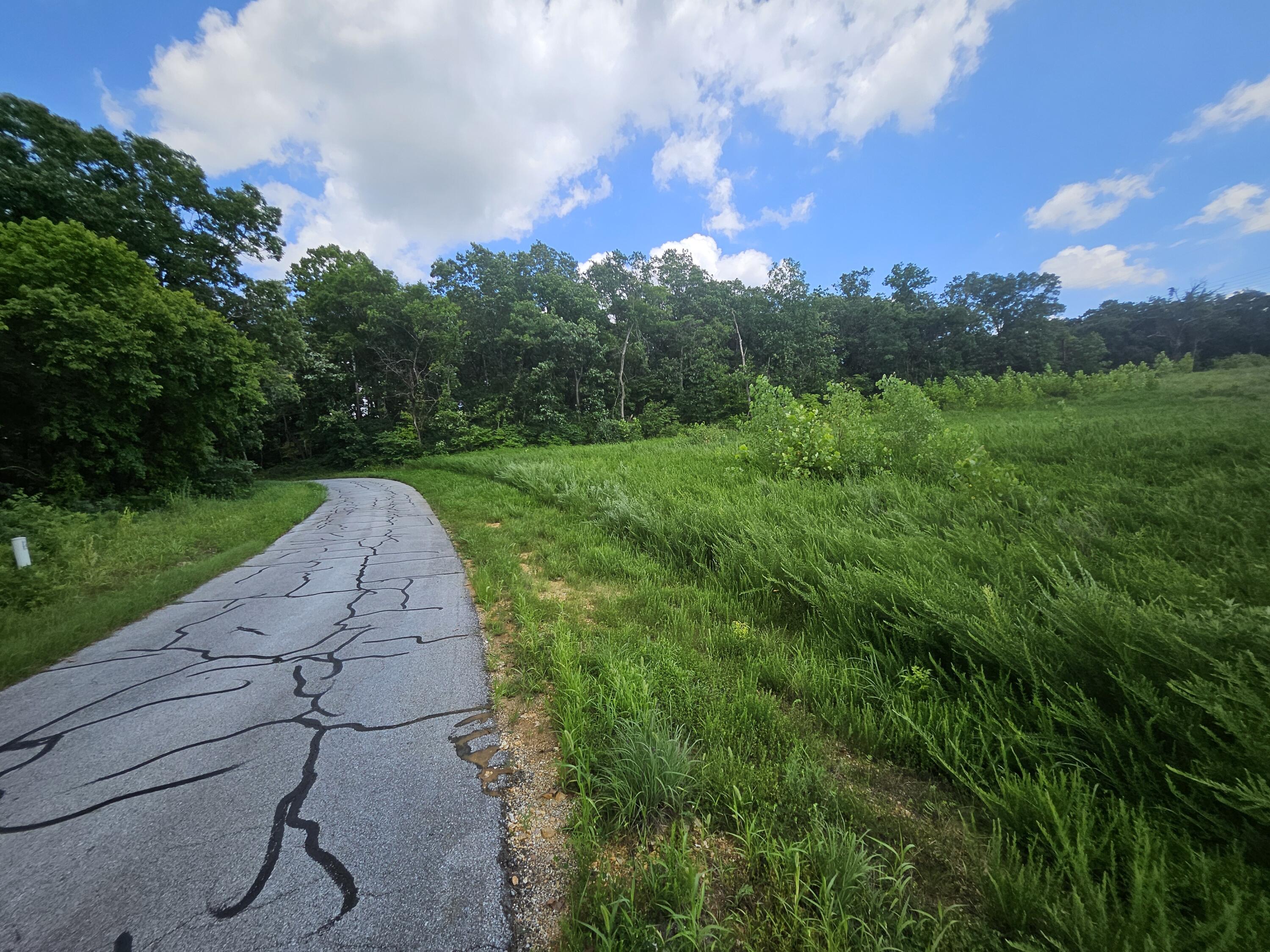 Photo 15 - Land for sale – 000  Dogwood Lane   Joplin, MO