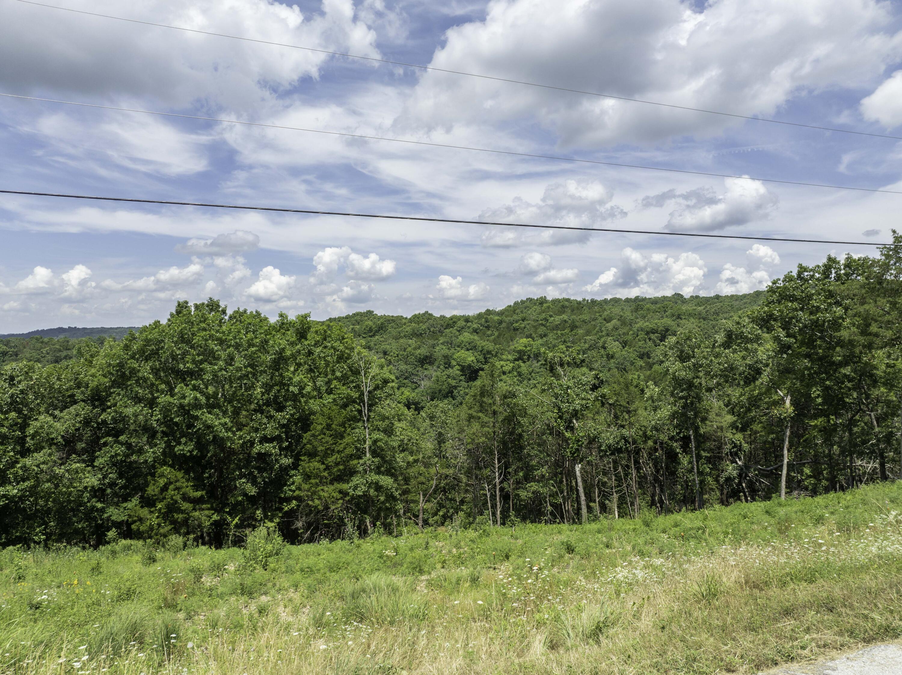 Photo 8 - Land for sale – 55  Seagull Lane  Cape Fair, MO